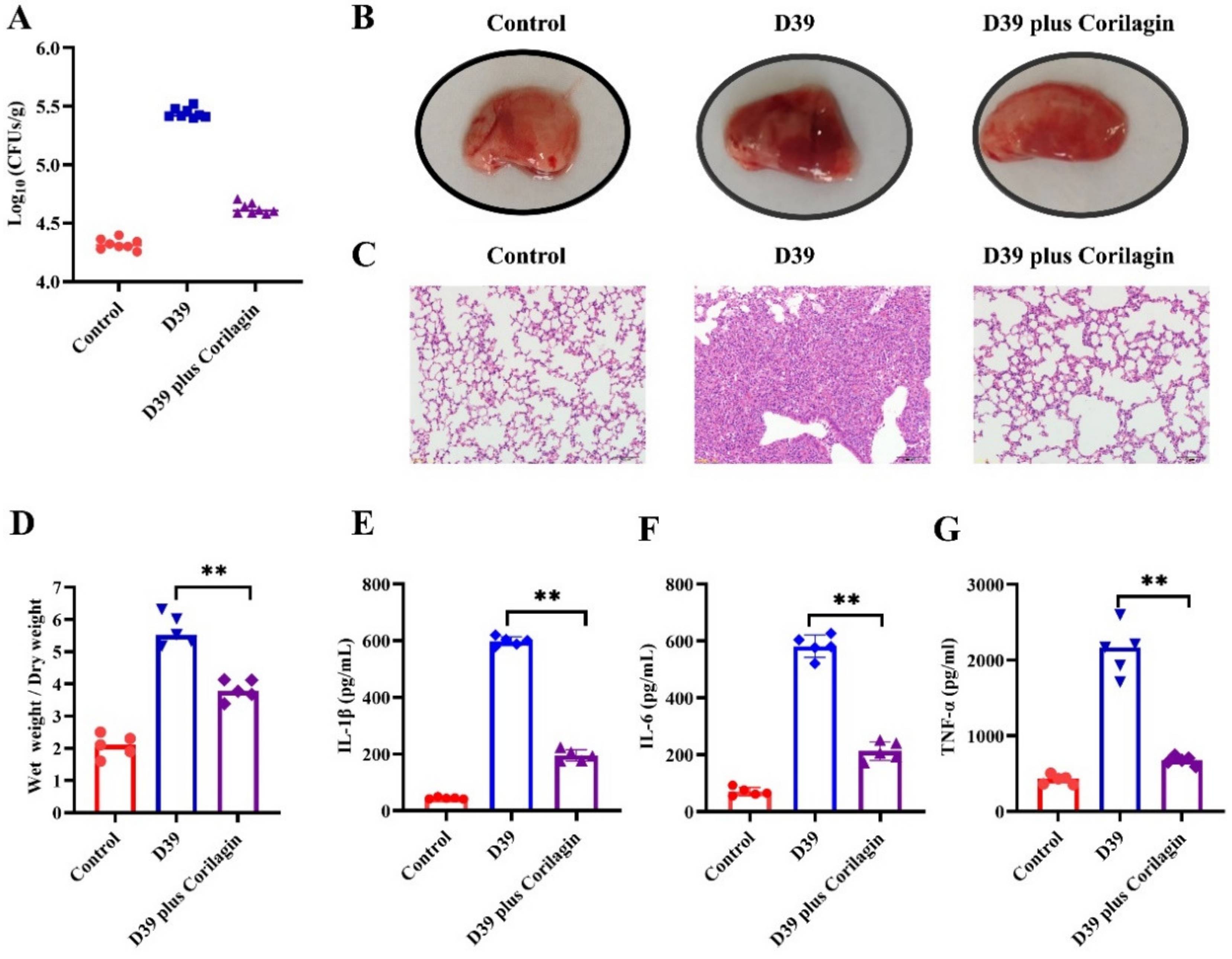Molecules 27 05063 g004 550