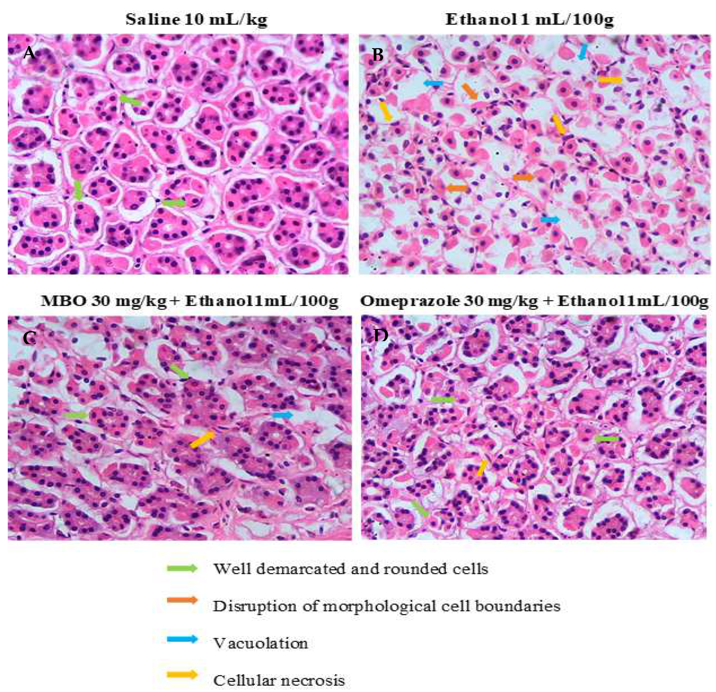 Molecules 27 05065 g005
