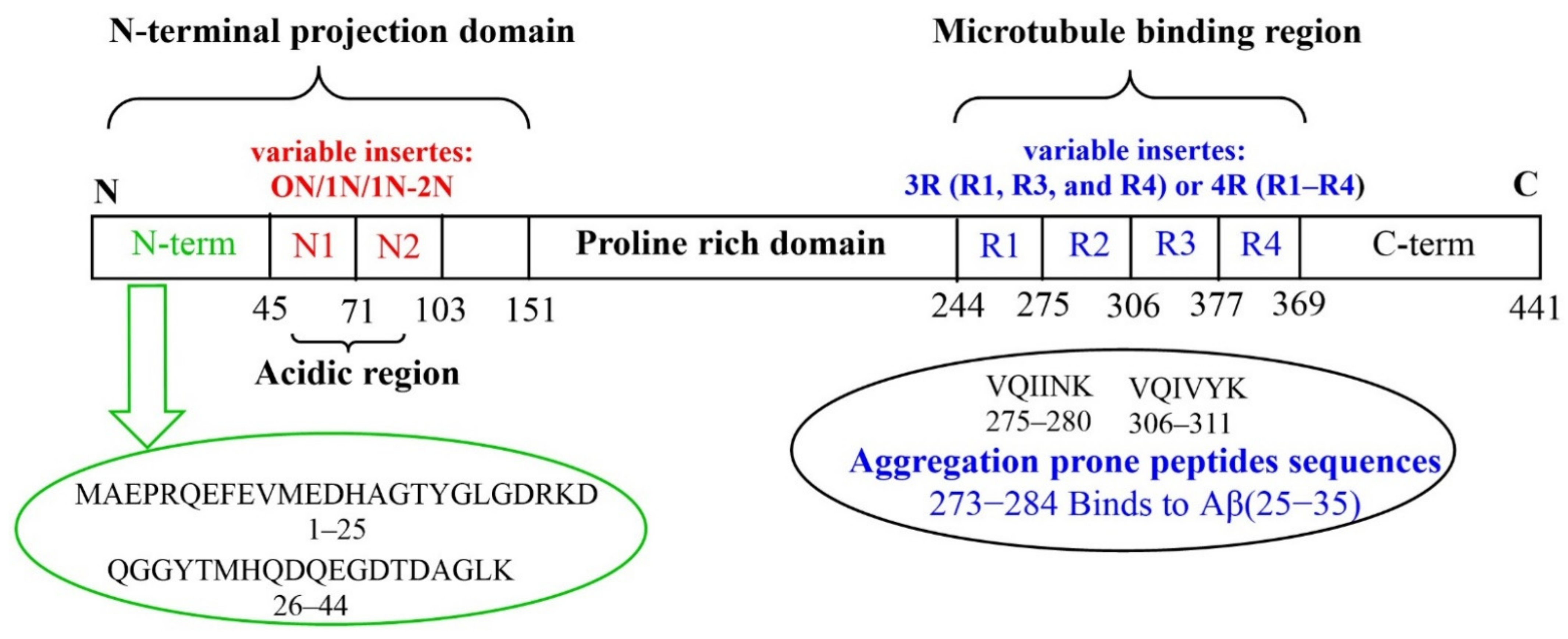Molecules 27 05066 g001