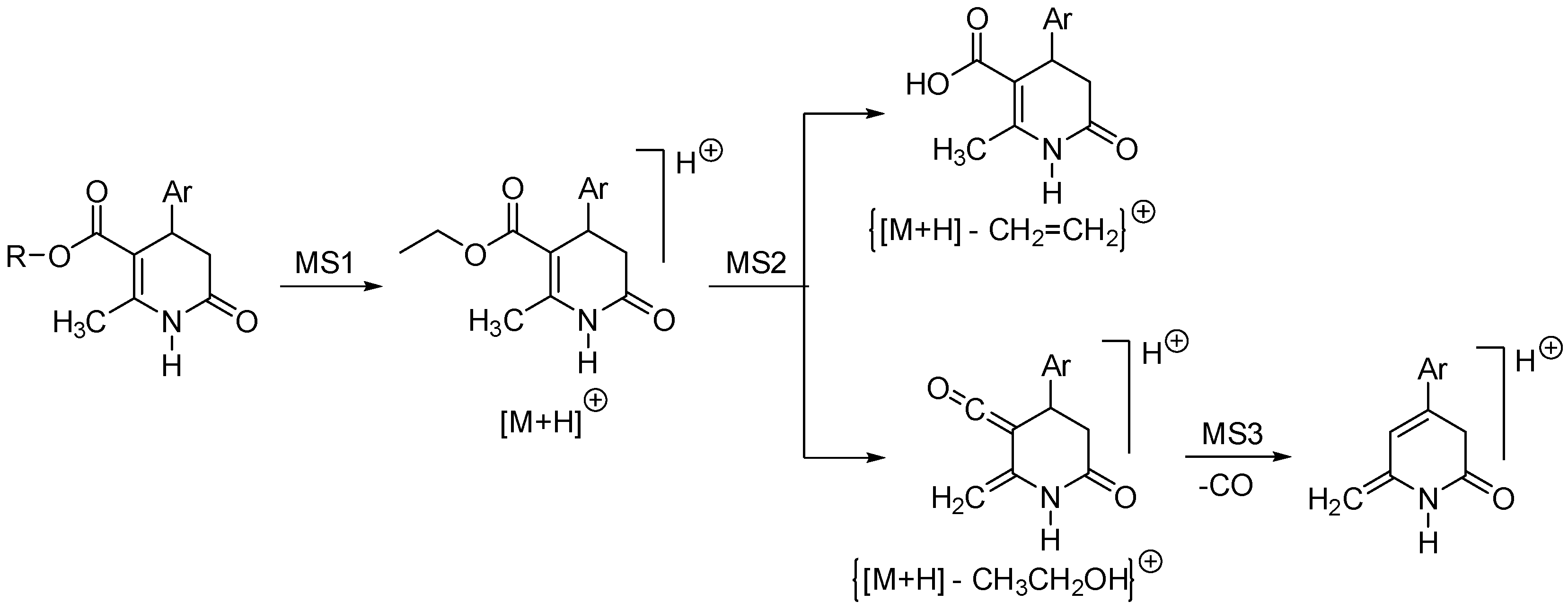 Molecules 27 05070 sch021