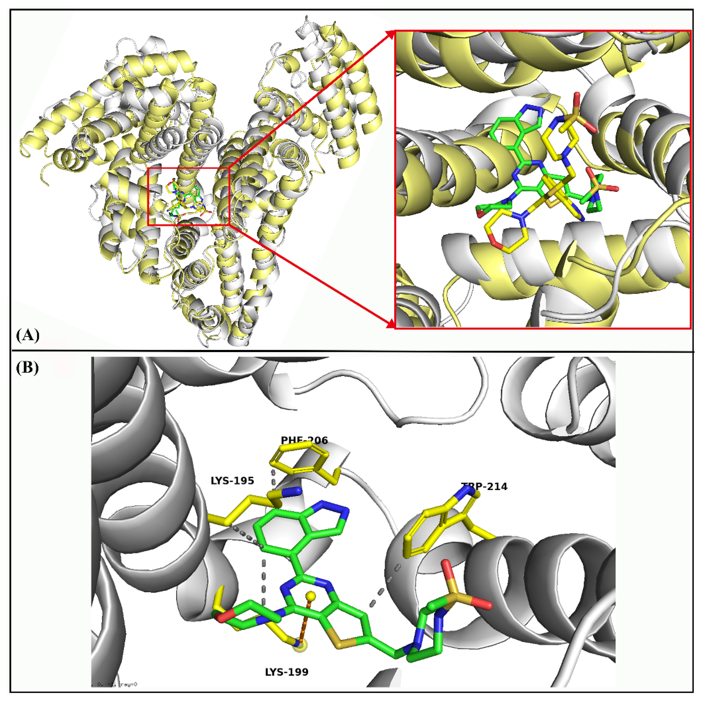 Molecules 27 05071 g004
