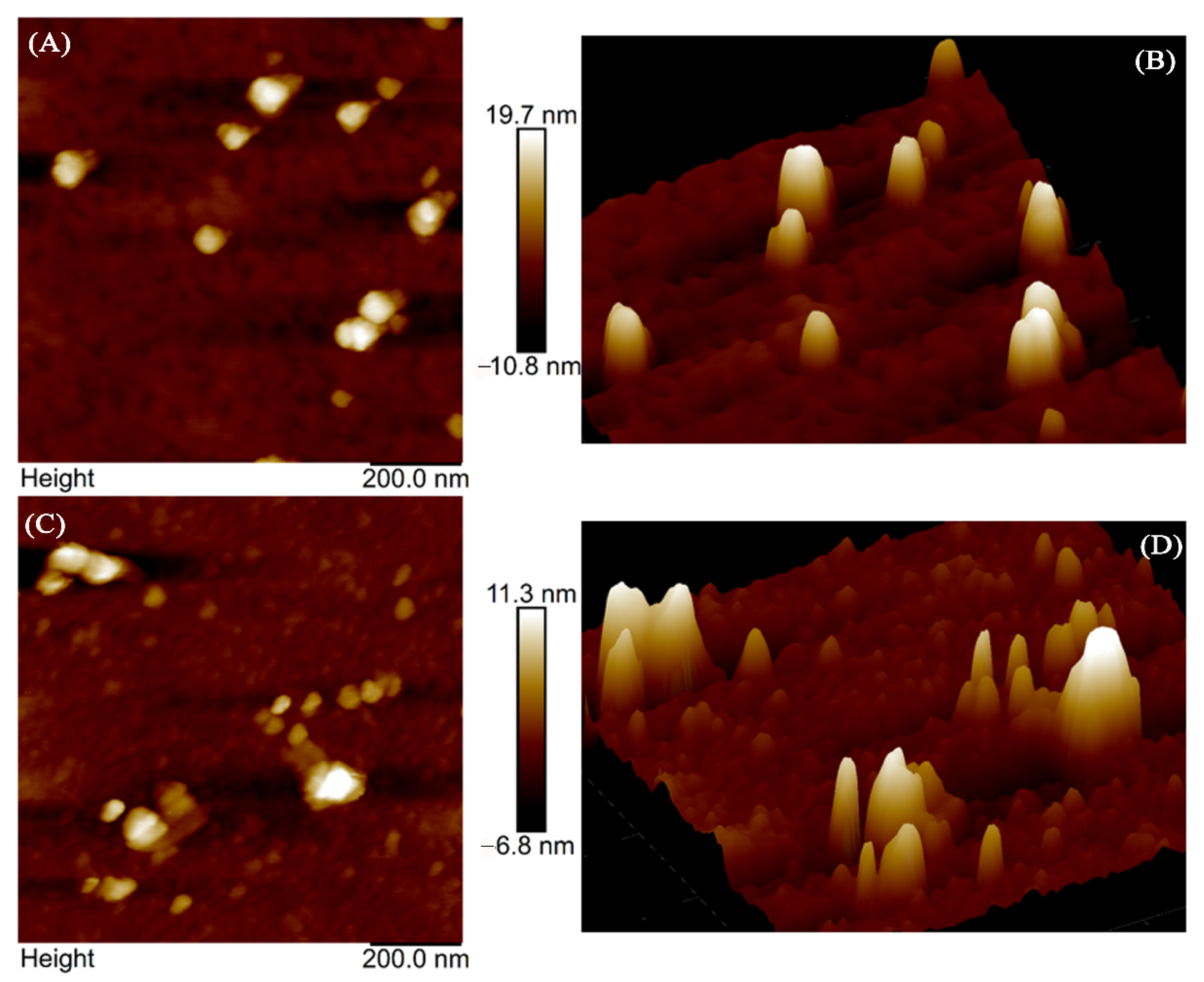 Molecules 27 05071 g010