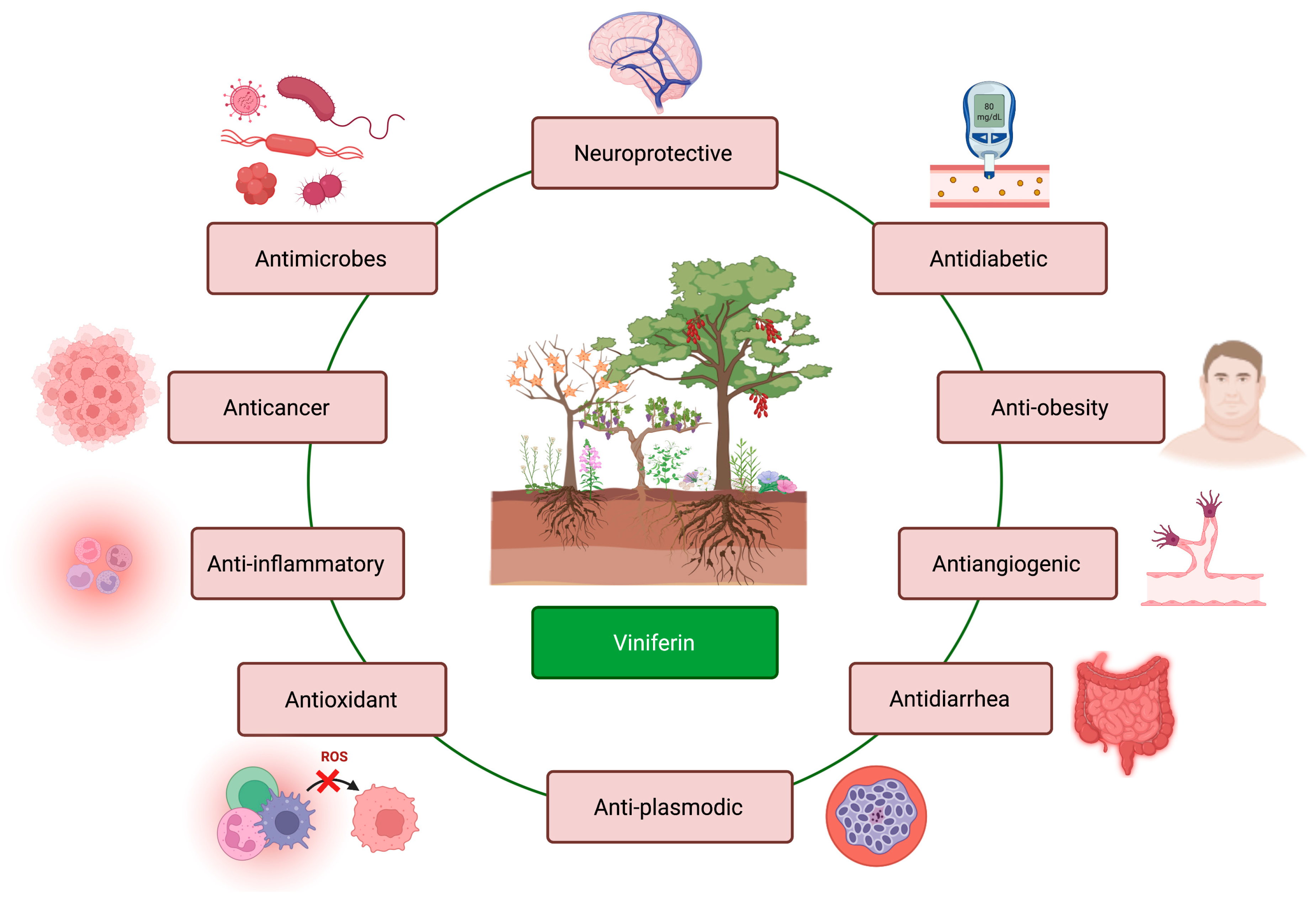 Molecules 27 05072 g003 550