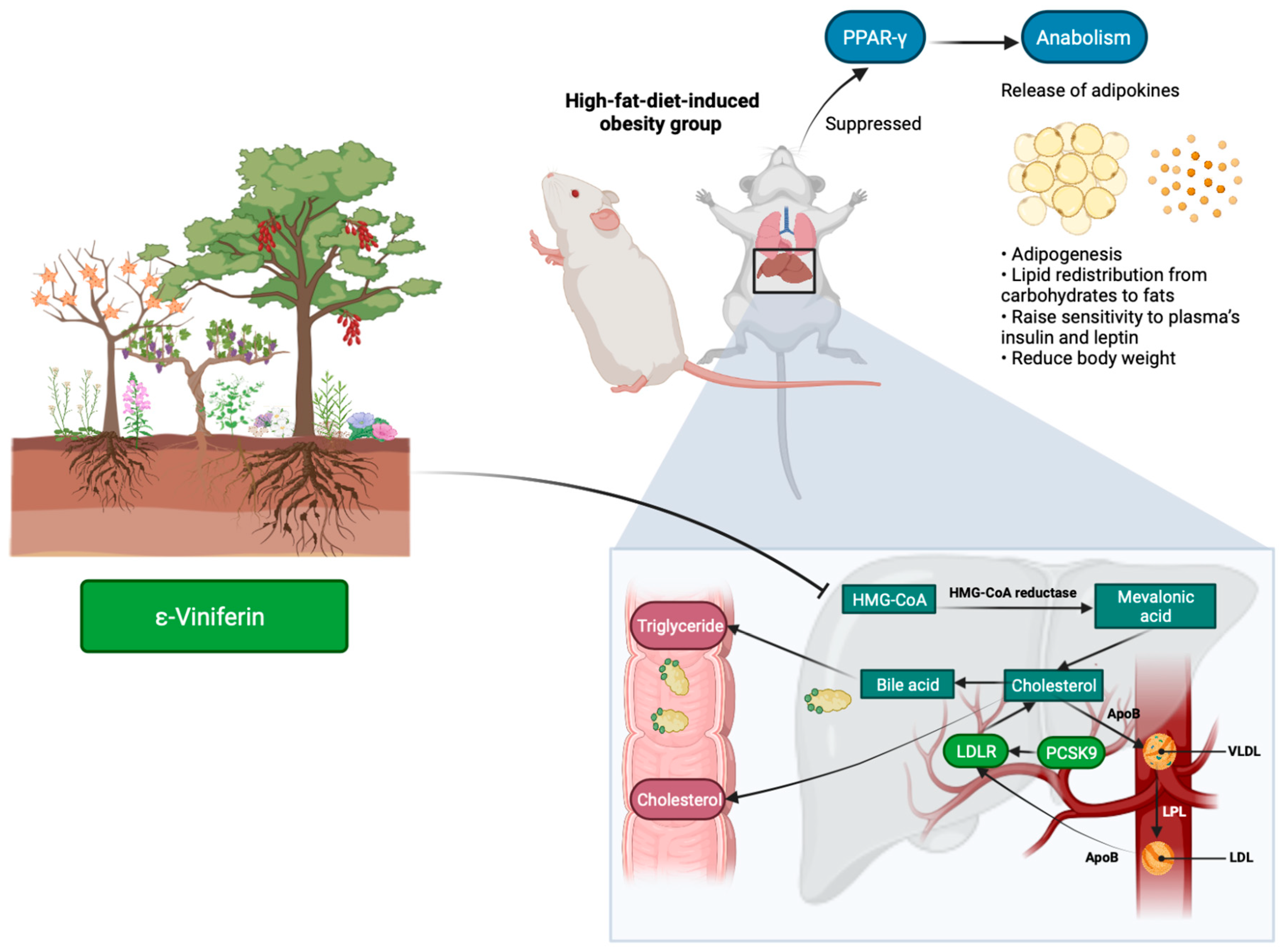 Molecules 27 05072 g005 550