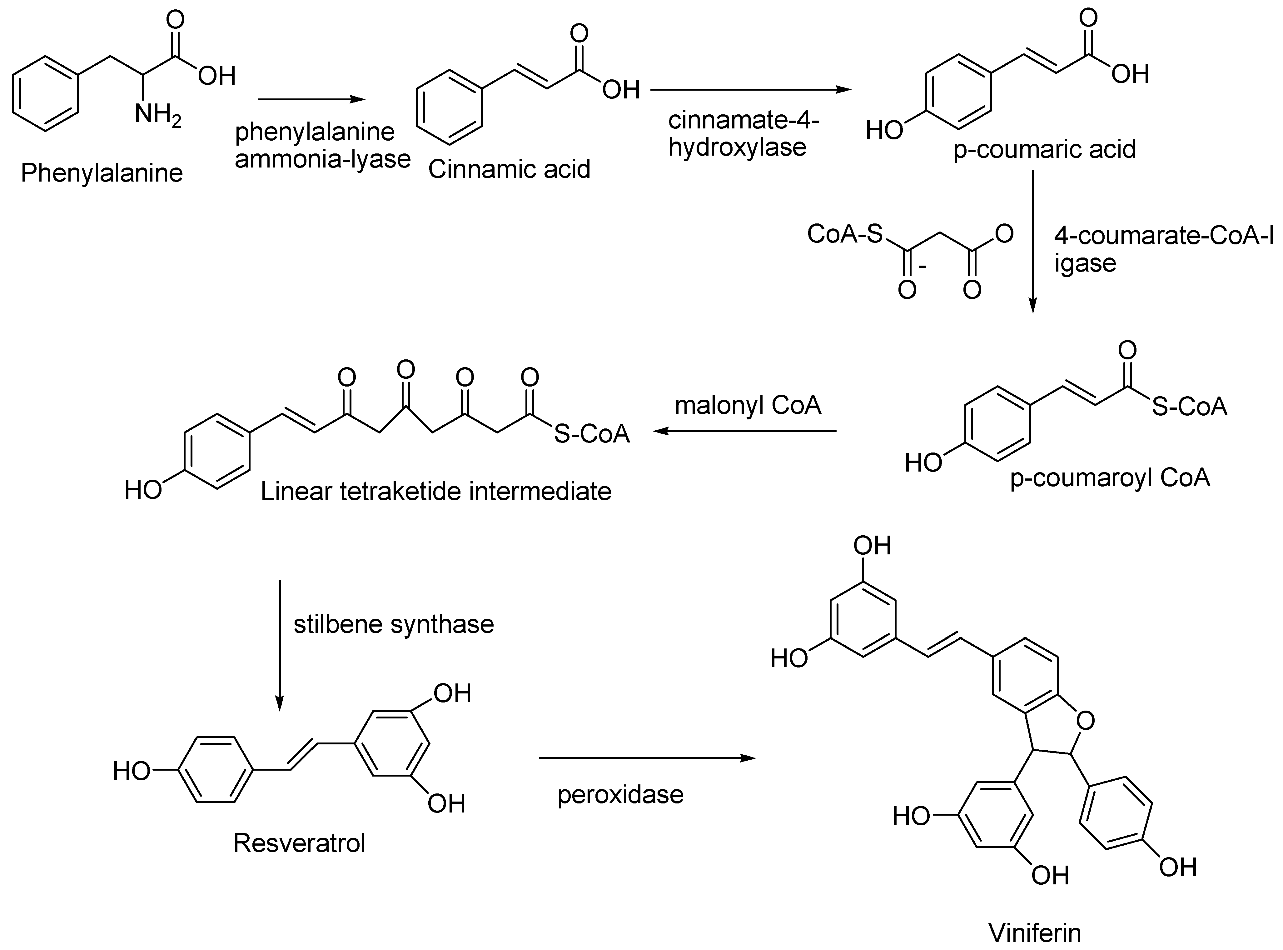 Molecules 27 05072 sch001 550