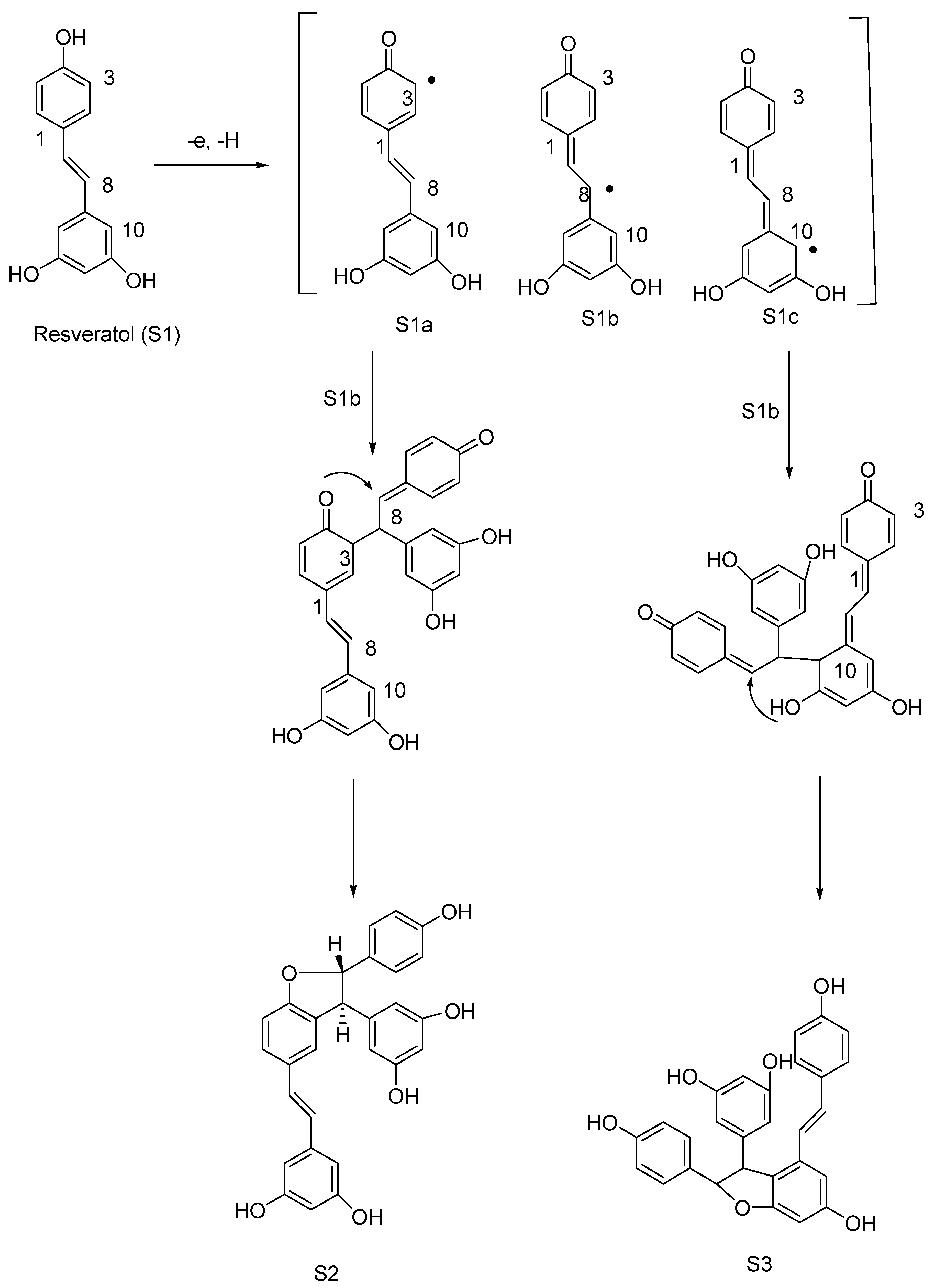 Molecules 27 05072 sch002 550