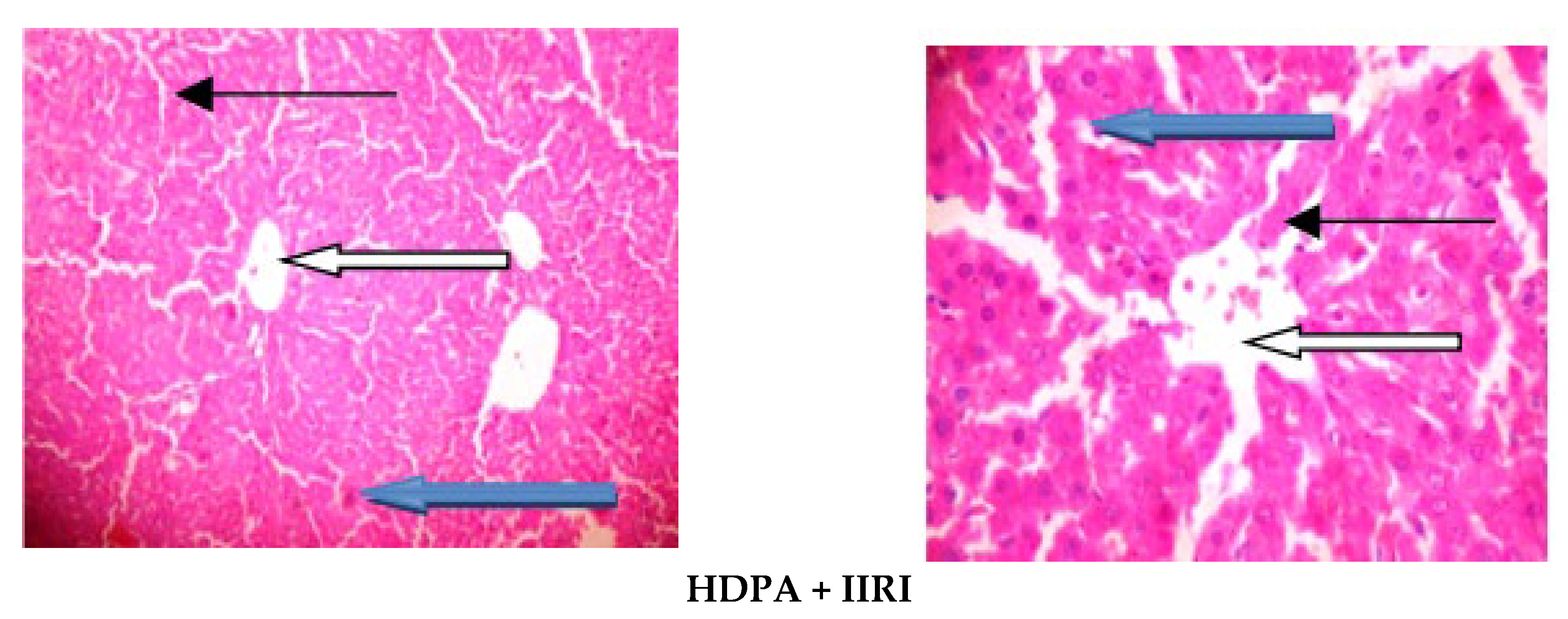 Molecules 27 05073 g006b