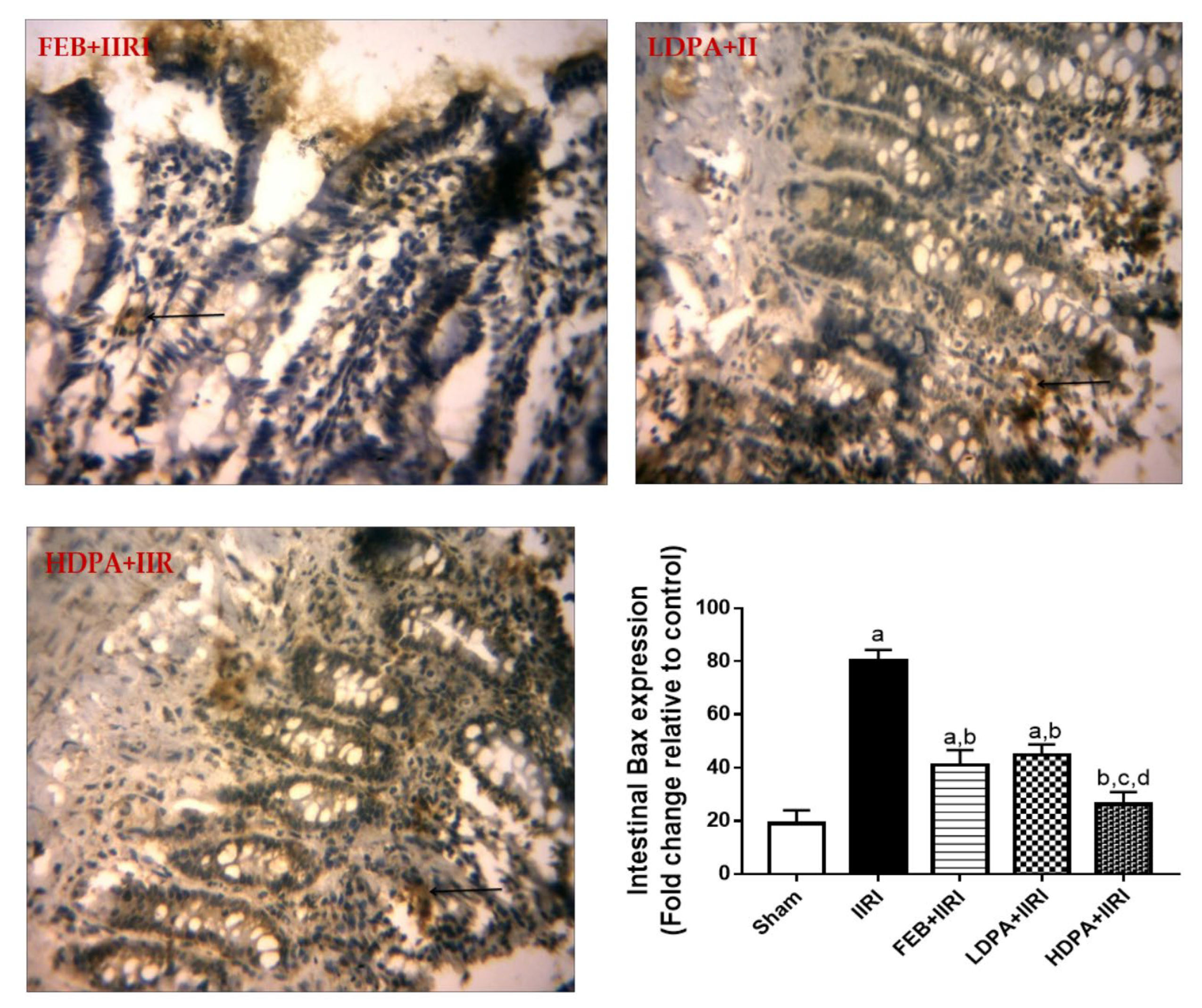 Molecules 27 05073 g009b