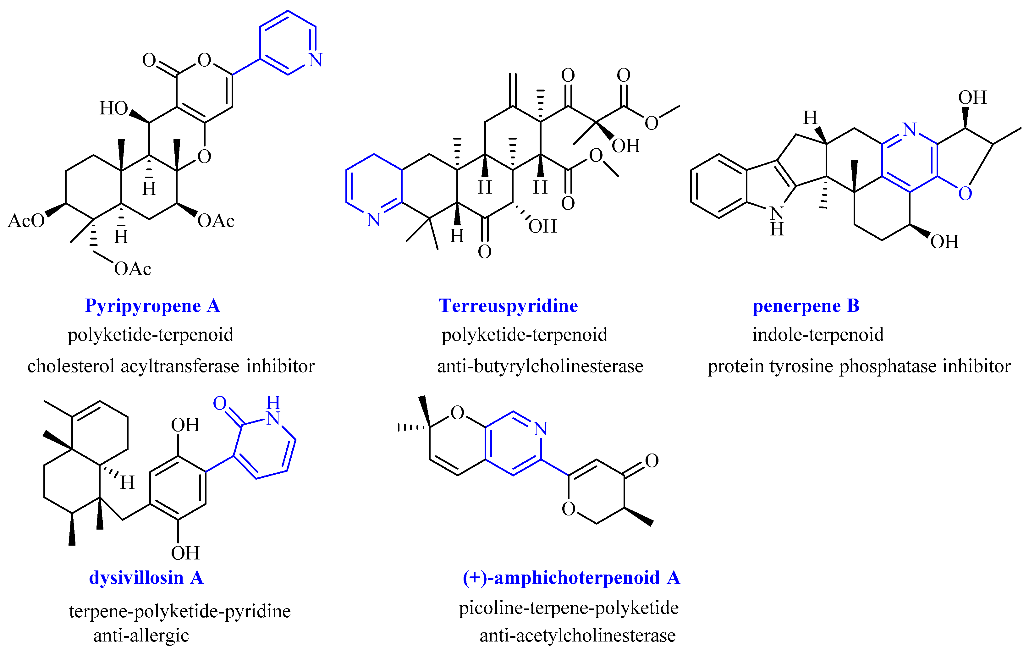 Molecules 27 05076 g001