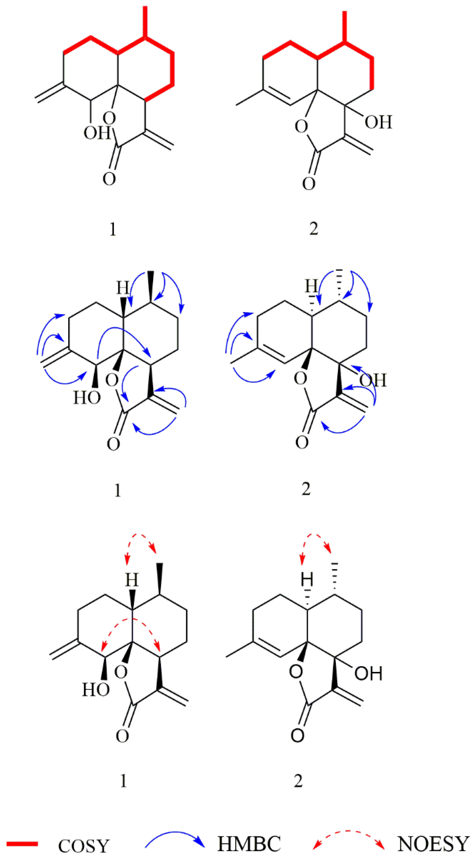Molecules 27 05079 g002