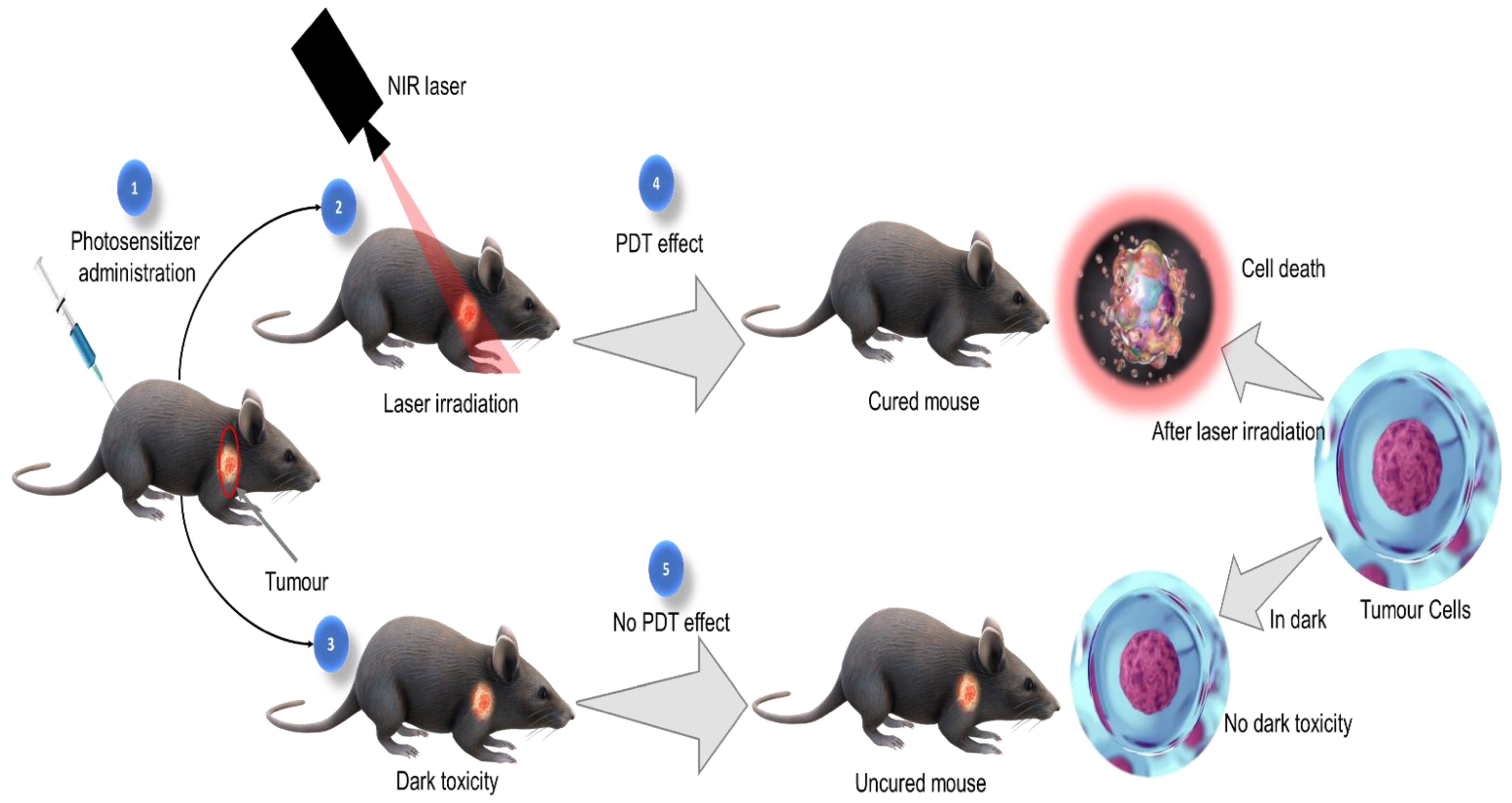 Molecules 27 05084 g001 Molecules 27 05084 g001