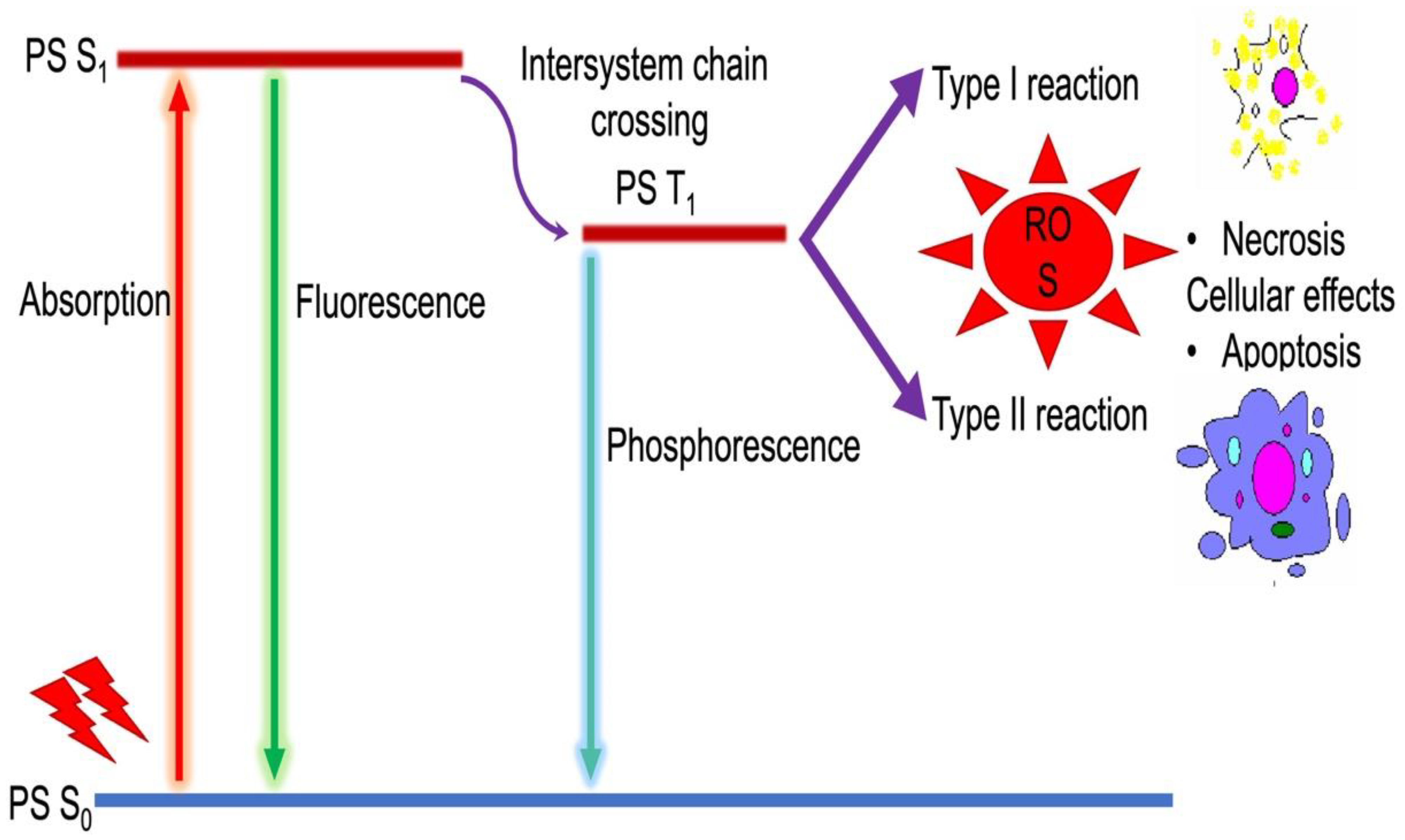Molecules 27 05084 g002 Molecules 27 05084 g002