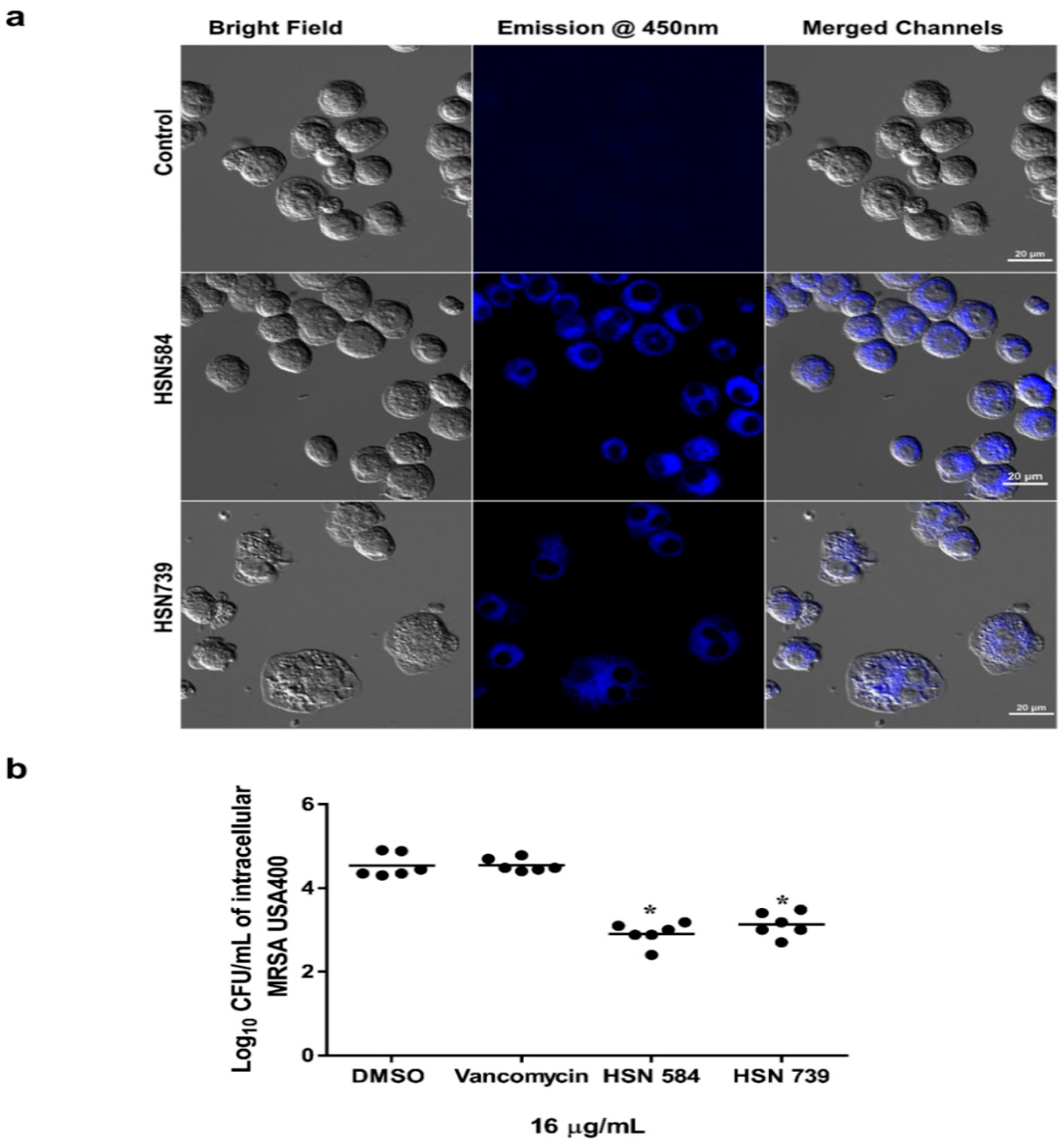 Molecules 27 05085 g006 Molecules 27 05085 g006