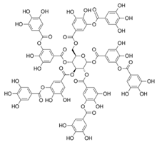 Natural Polyphenols as SERCA Activators: Role in the Endoplasmic Reticulum Stress-Related Diseases Natural Polyphenols as SERCA Activators: Role in the Endoplasmic Reticulum Stress-Related Diseases