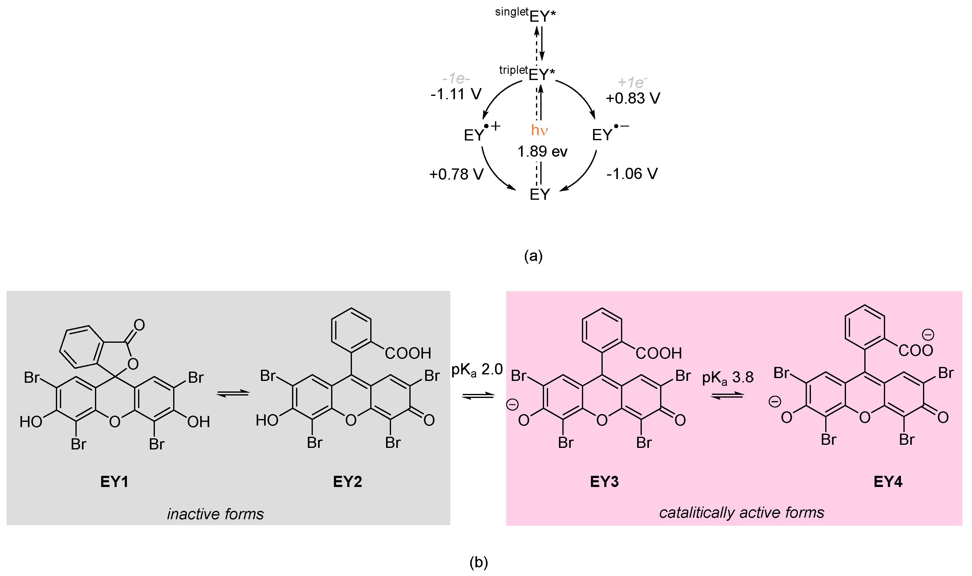 Molecules 27 05096 sch001