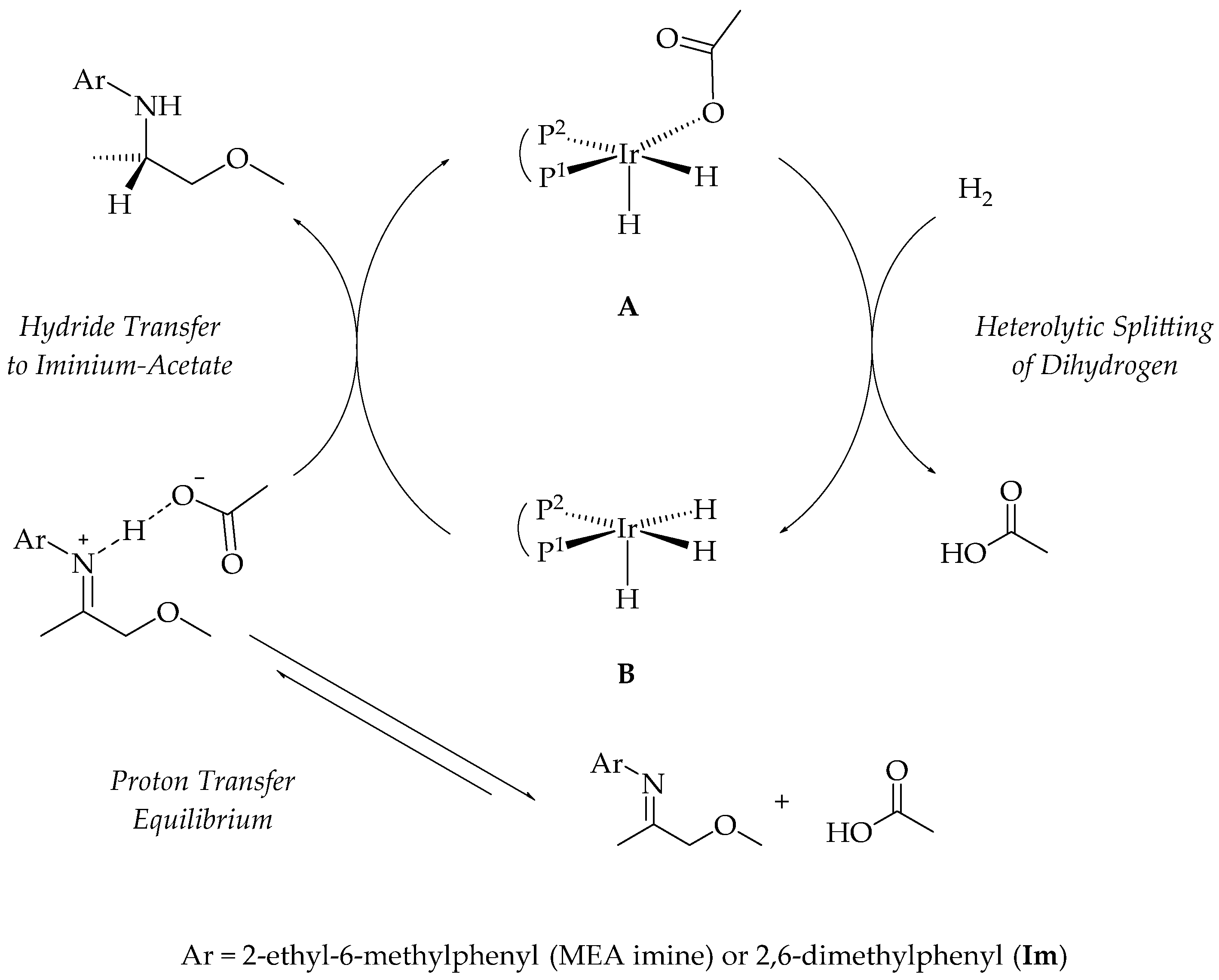 Molecules 27 05106 g002