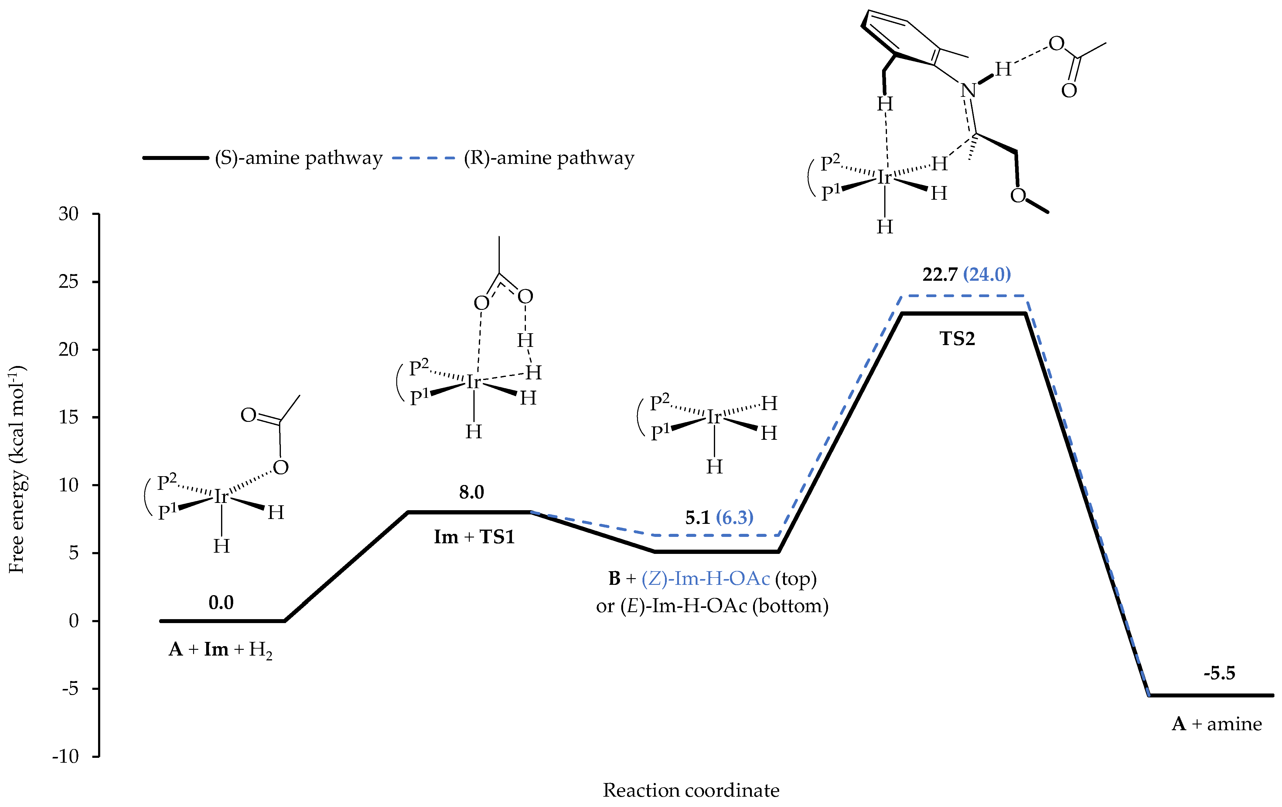 Molecules 27 05106 g005