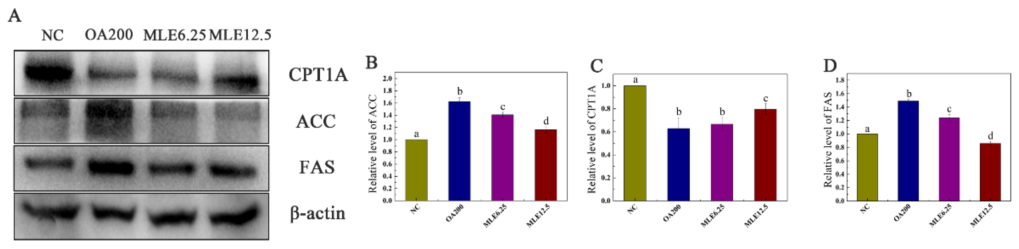 Molecules 27 05111 g003 550