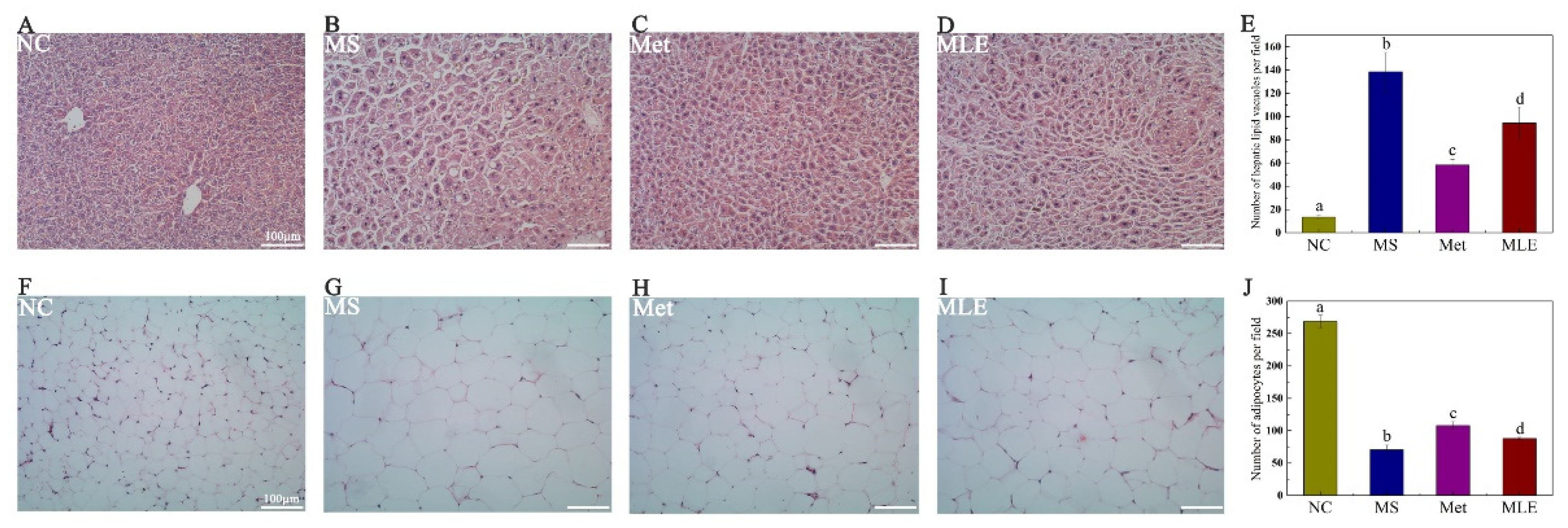 Molecules 27 05111 g007 550