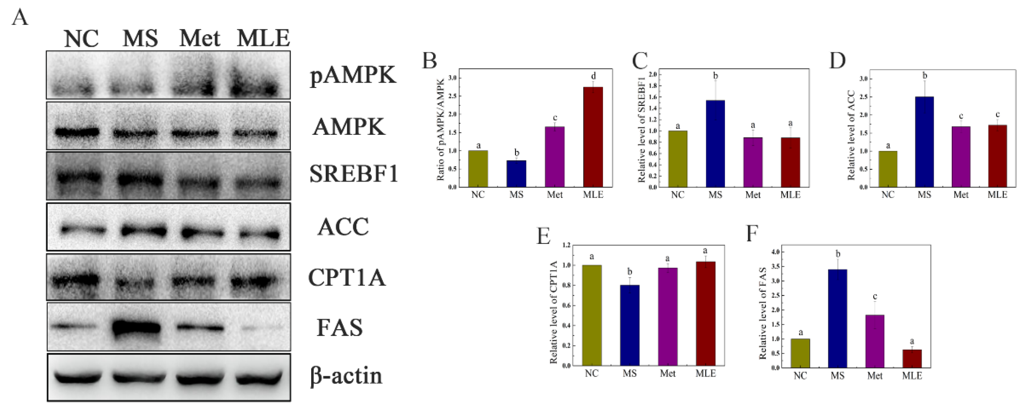 Molecules 27 05111 g008 550