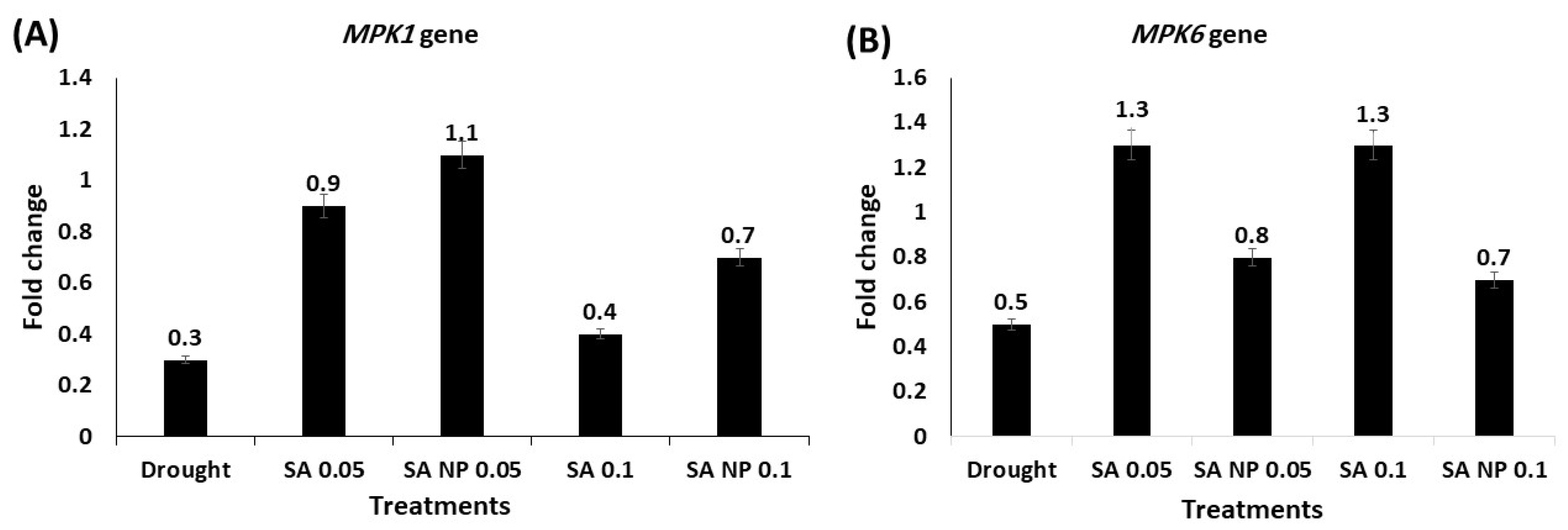 Molecules 27 05112 g005 550