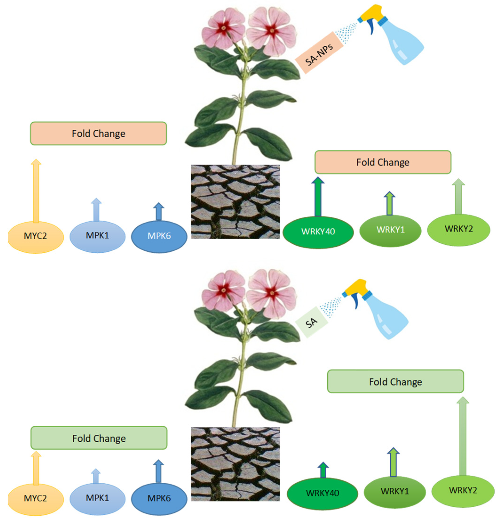 Molecules 27 05112 g006 550