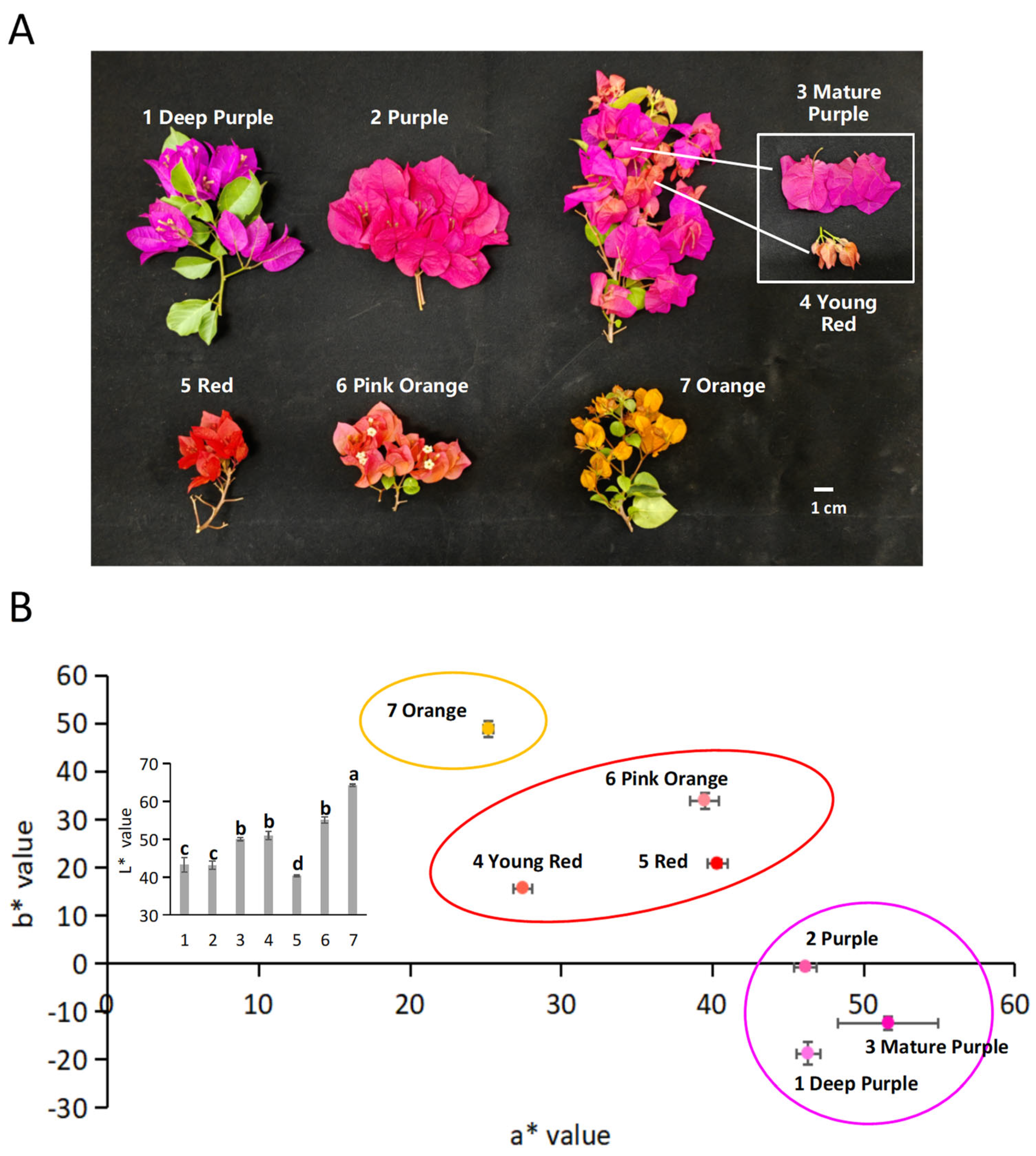Molecules 27 05120 g002