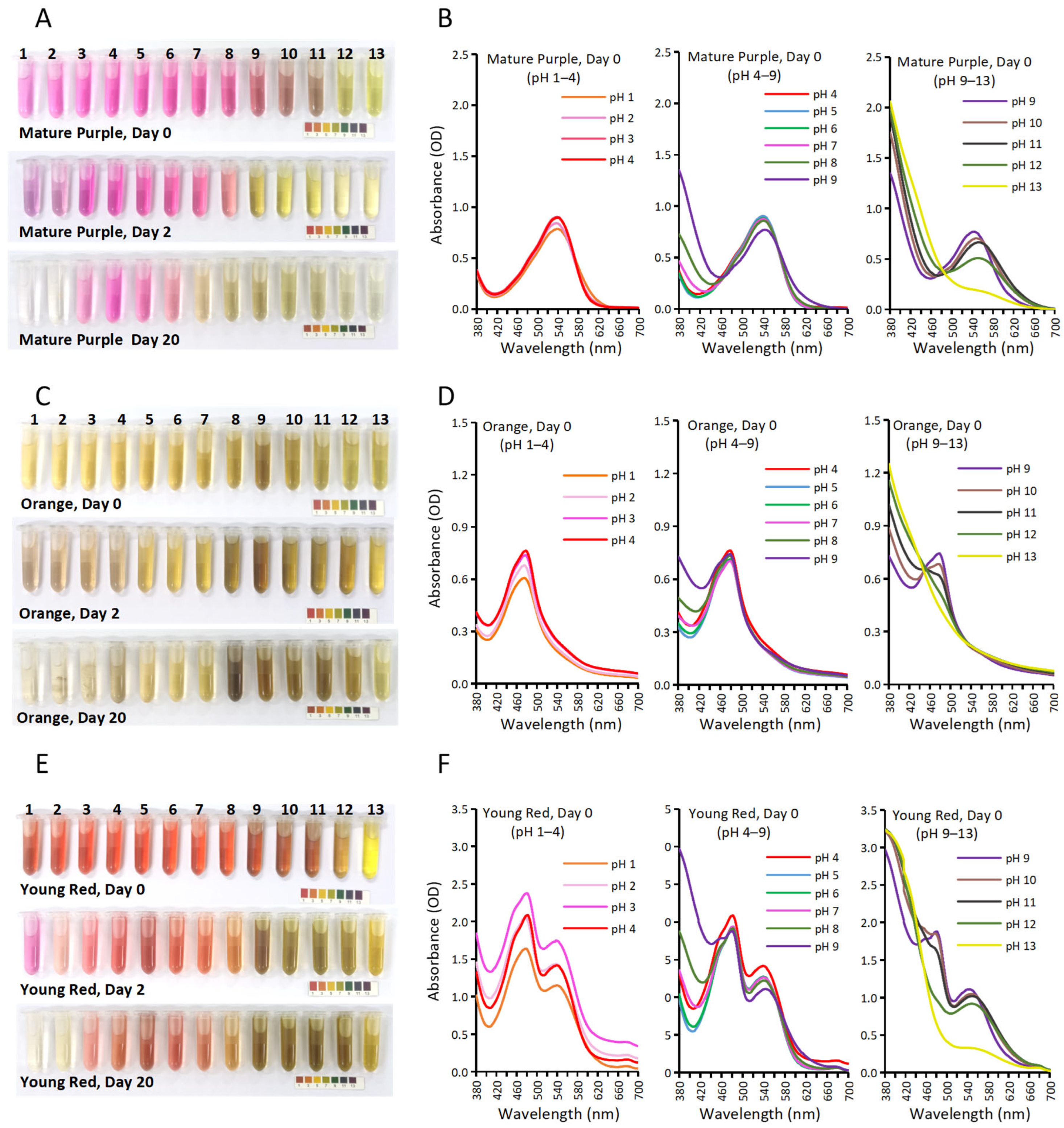 Molecules 27 05120 g004