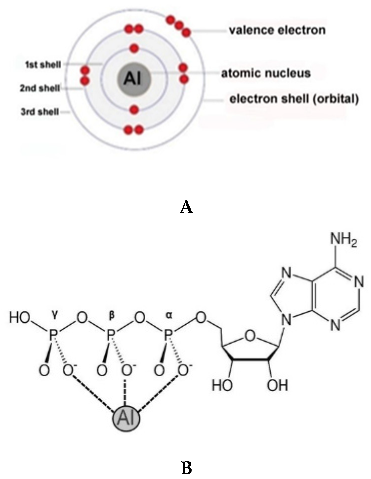 Molecules 27 05123 g001 Molecules 27 05123 g001
