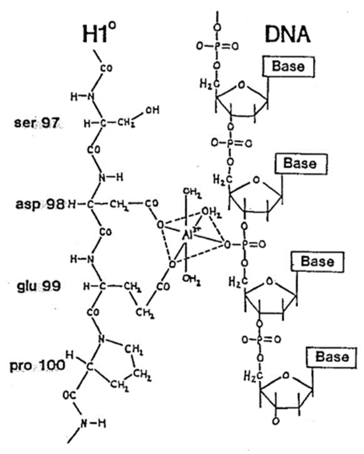 Molecules 27 05123 g002 Molecules 27 05123 g002