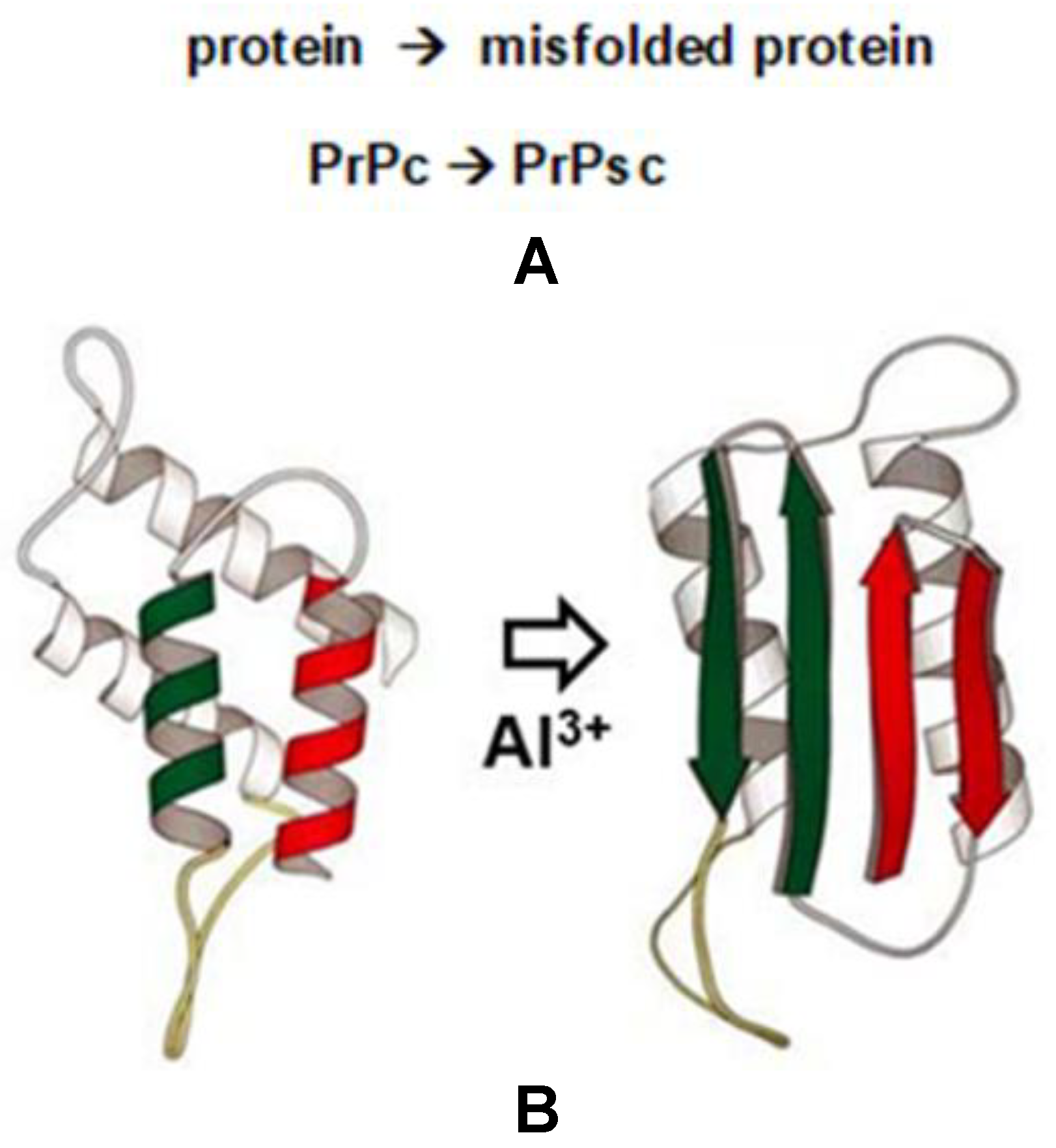 Molecules 27 05123 g003 Molecules 27 05123 g003