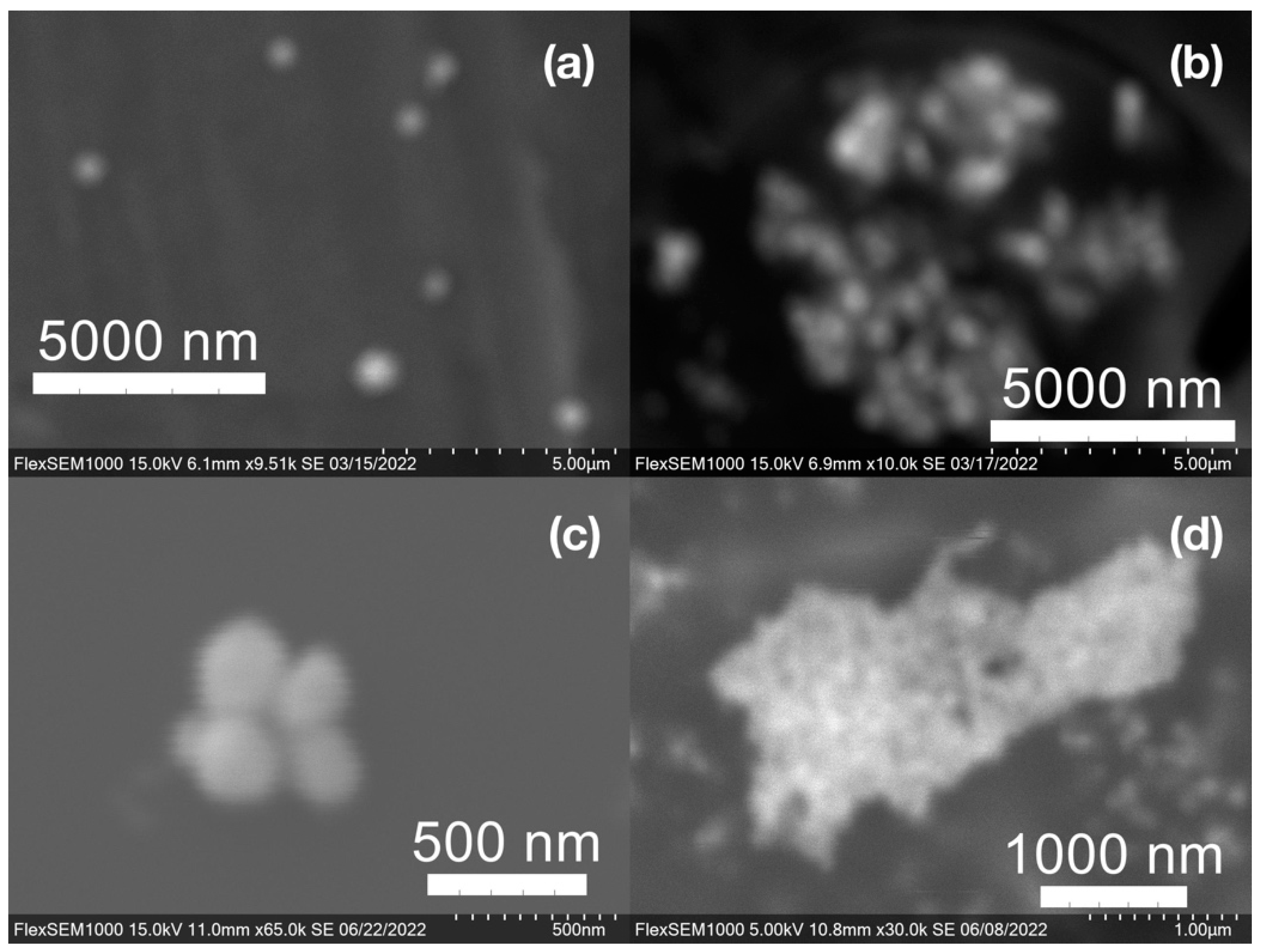 Molecules 27 05124 g009 550