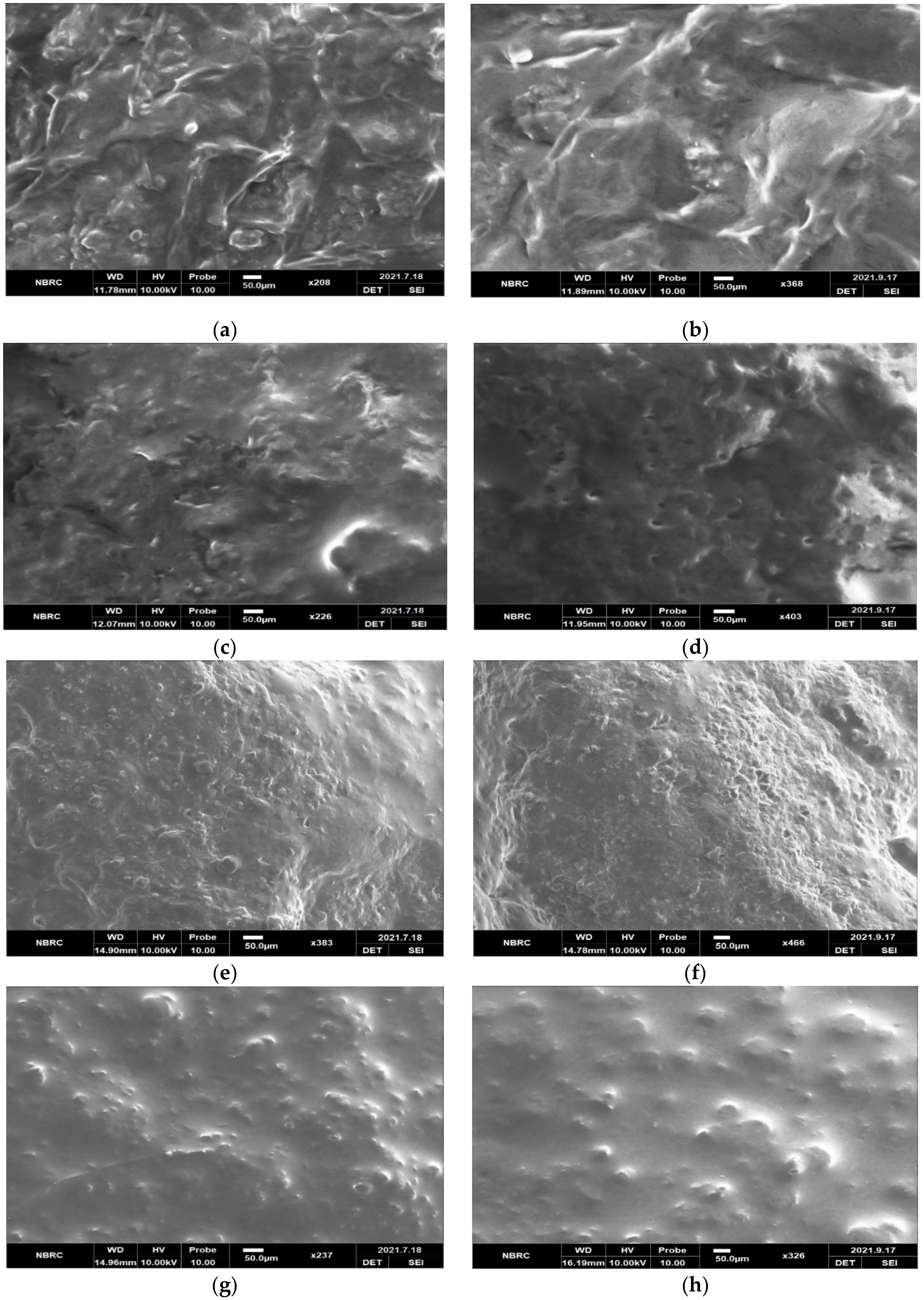 Molecules 27 05137 g001 Molecules 27 05137 g001