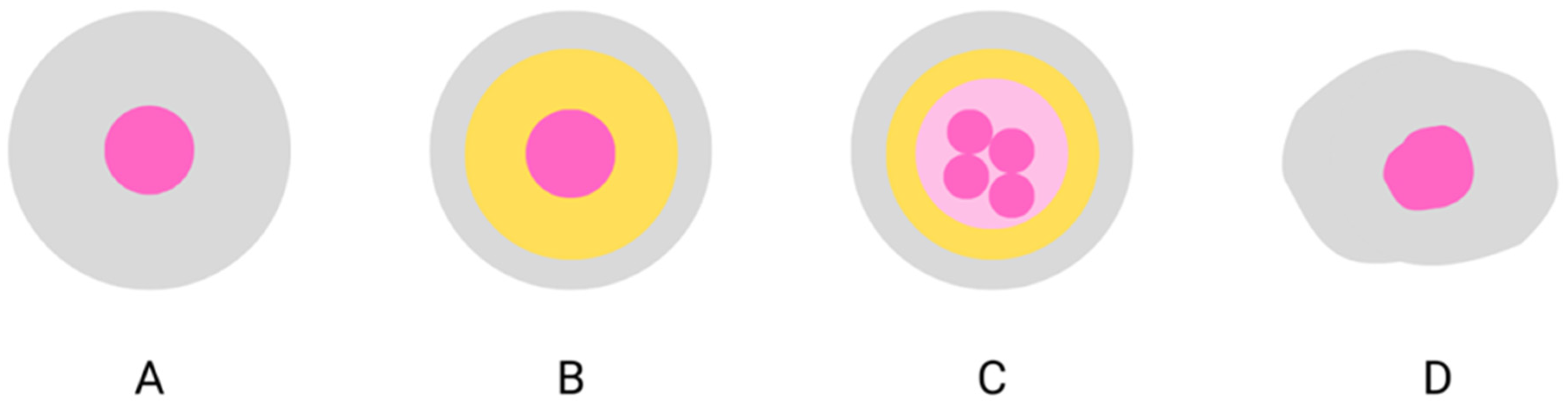 Molecules 27 05142 g002 550