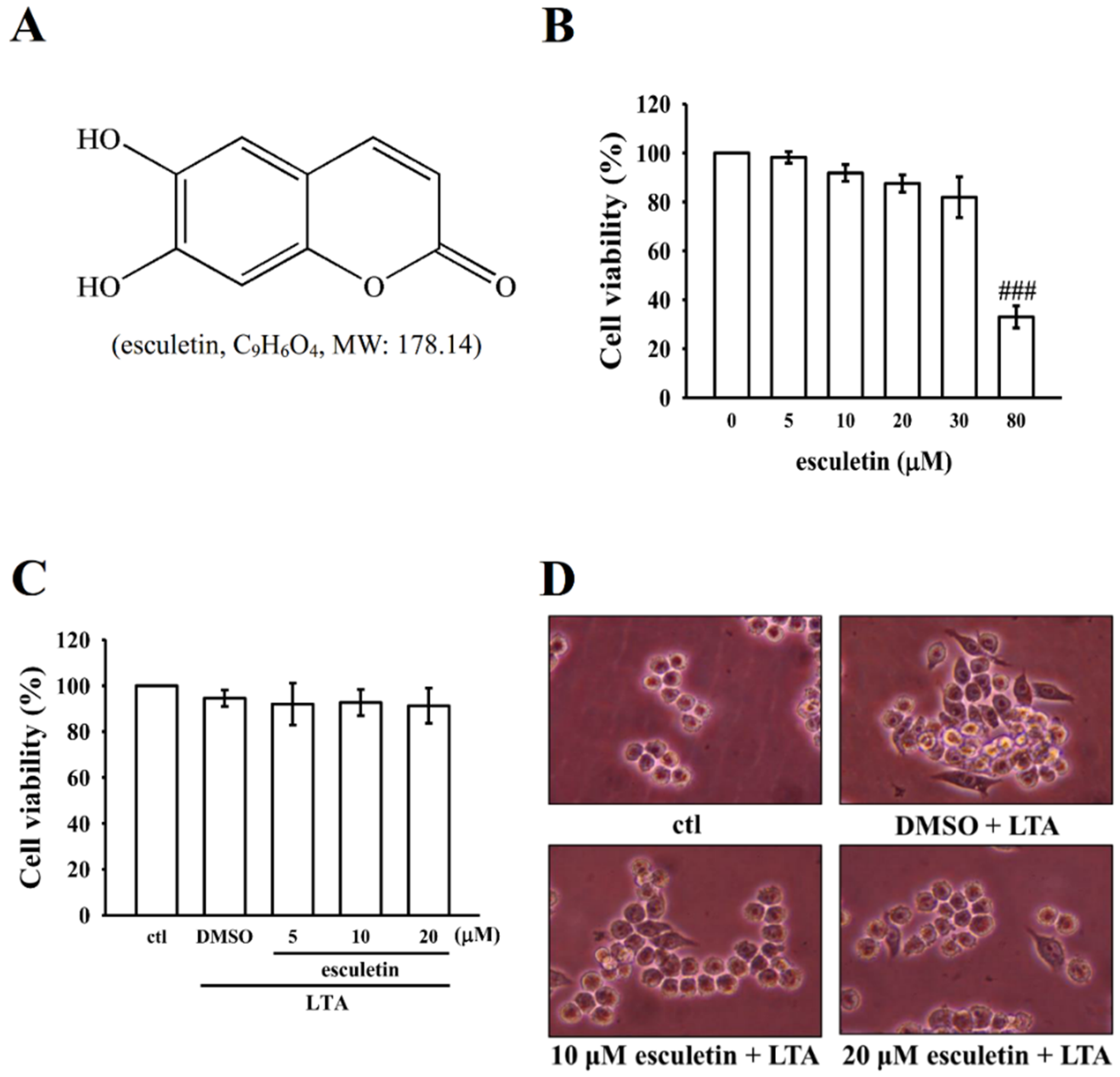 Molecules 27 05143 g001