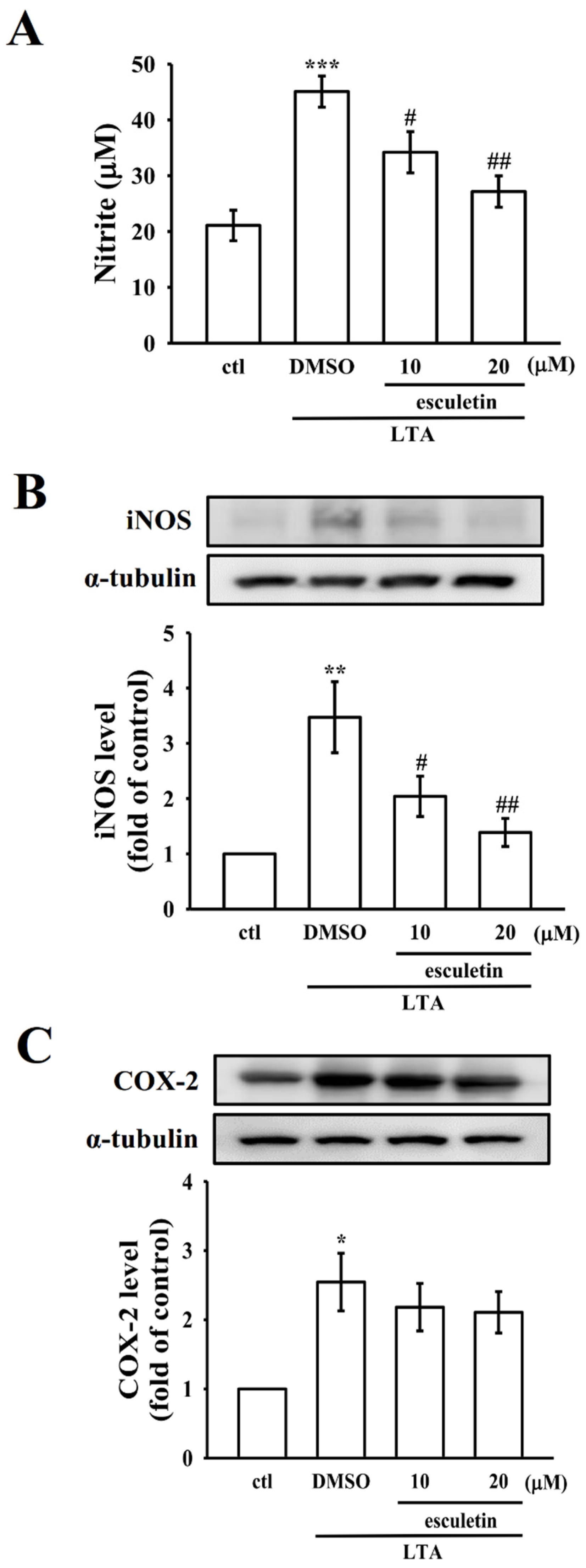 Molecules 27 05143 g002