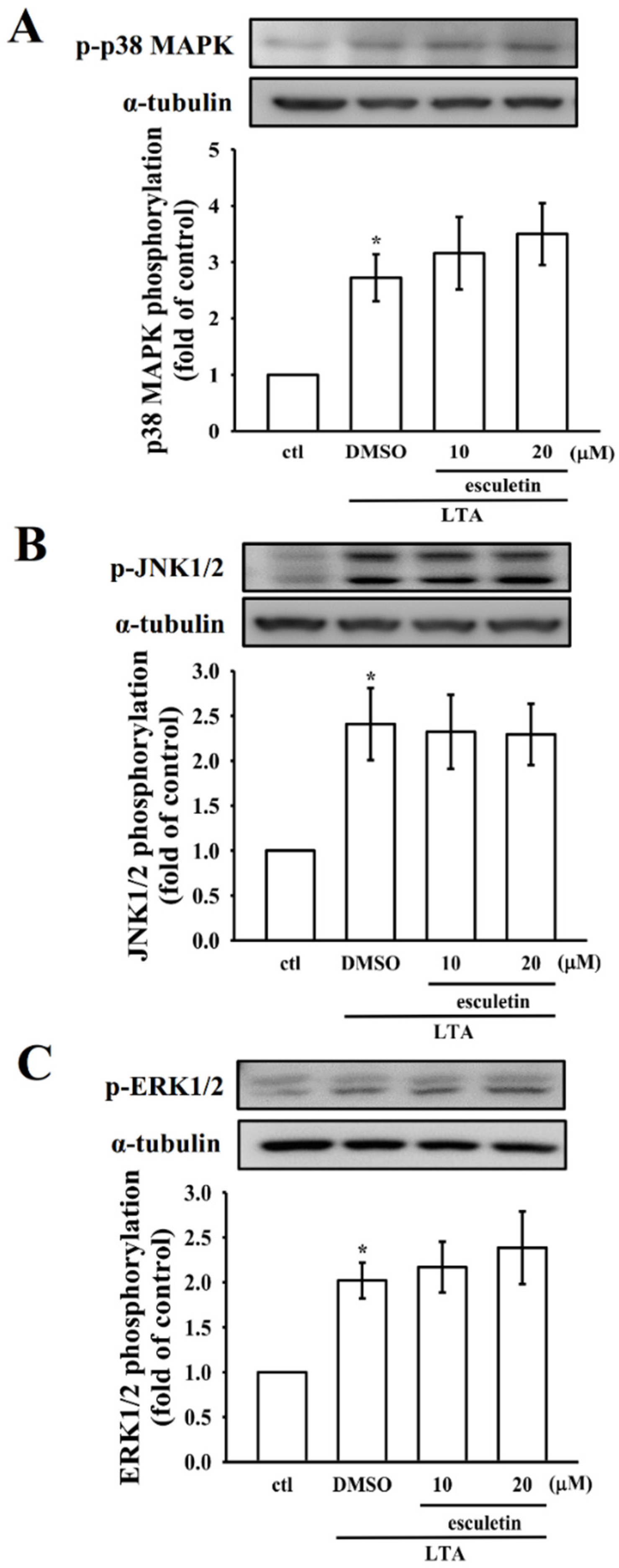 Molecules 27 05143 g003