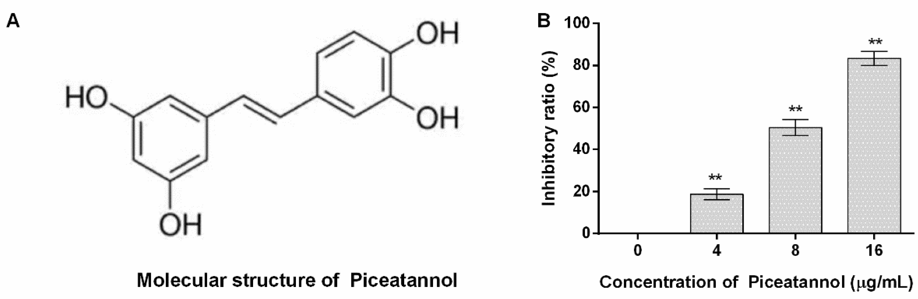 Molecules 27 05145 g001