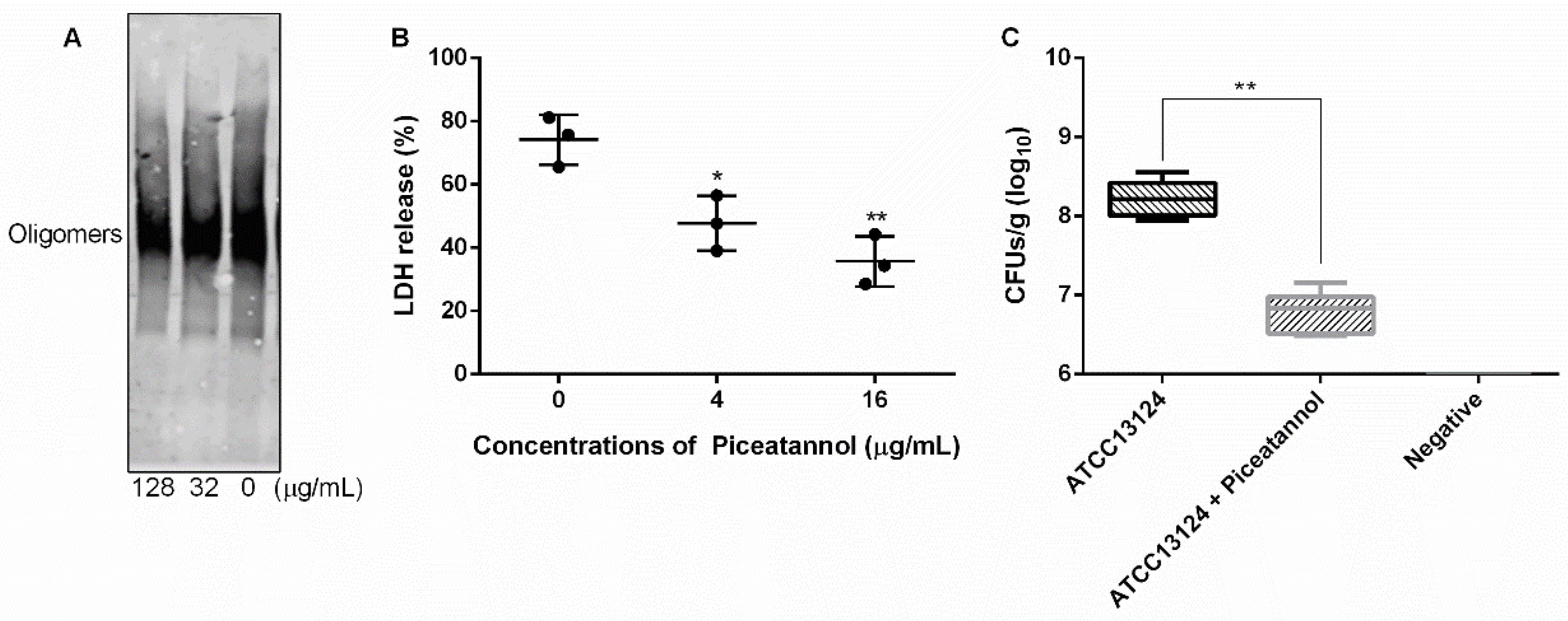 Molecules 27 05145 g007