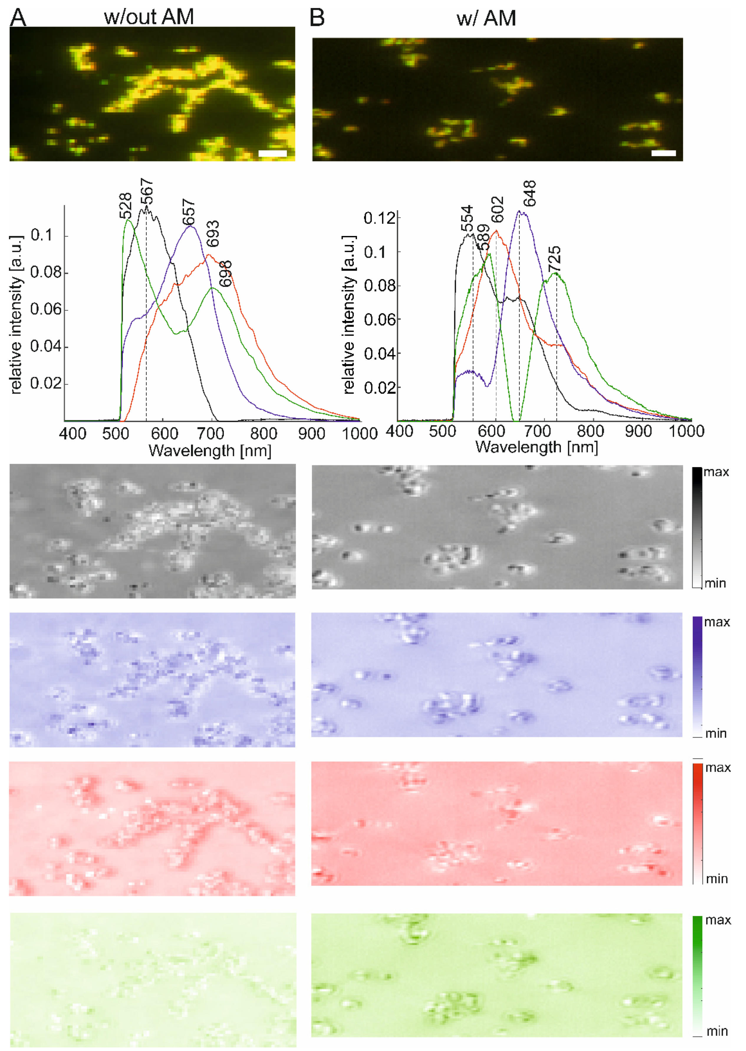 Molecules 27 05146 g006 550