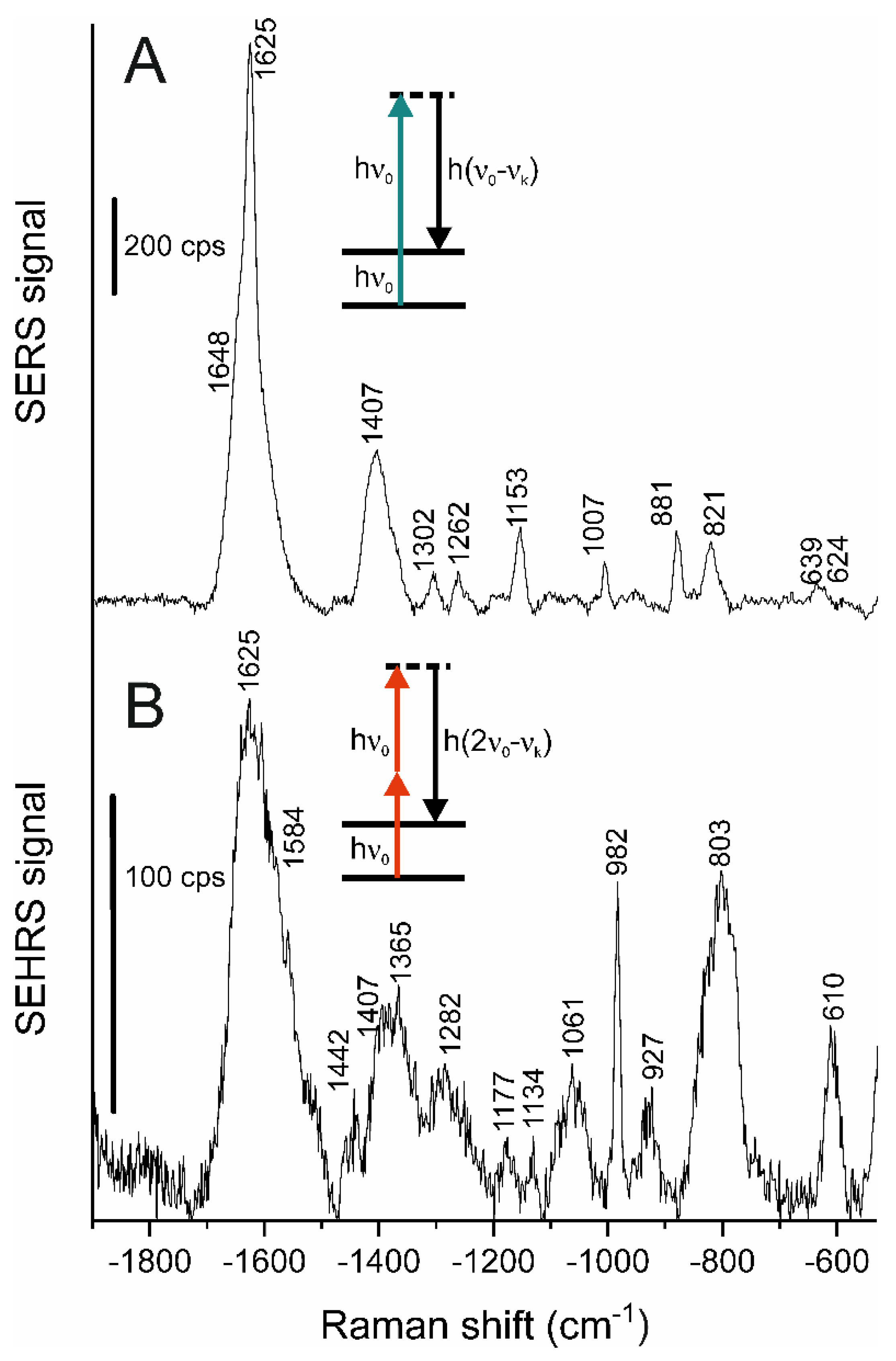 Molecules 27 05146 g007 550