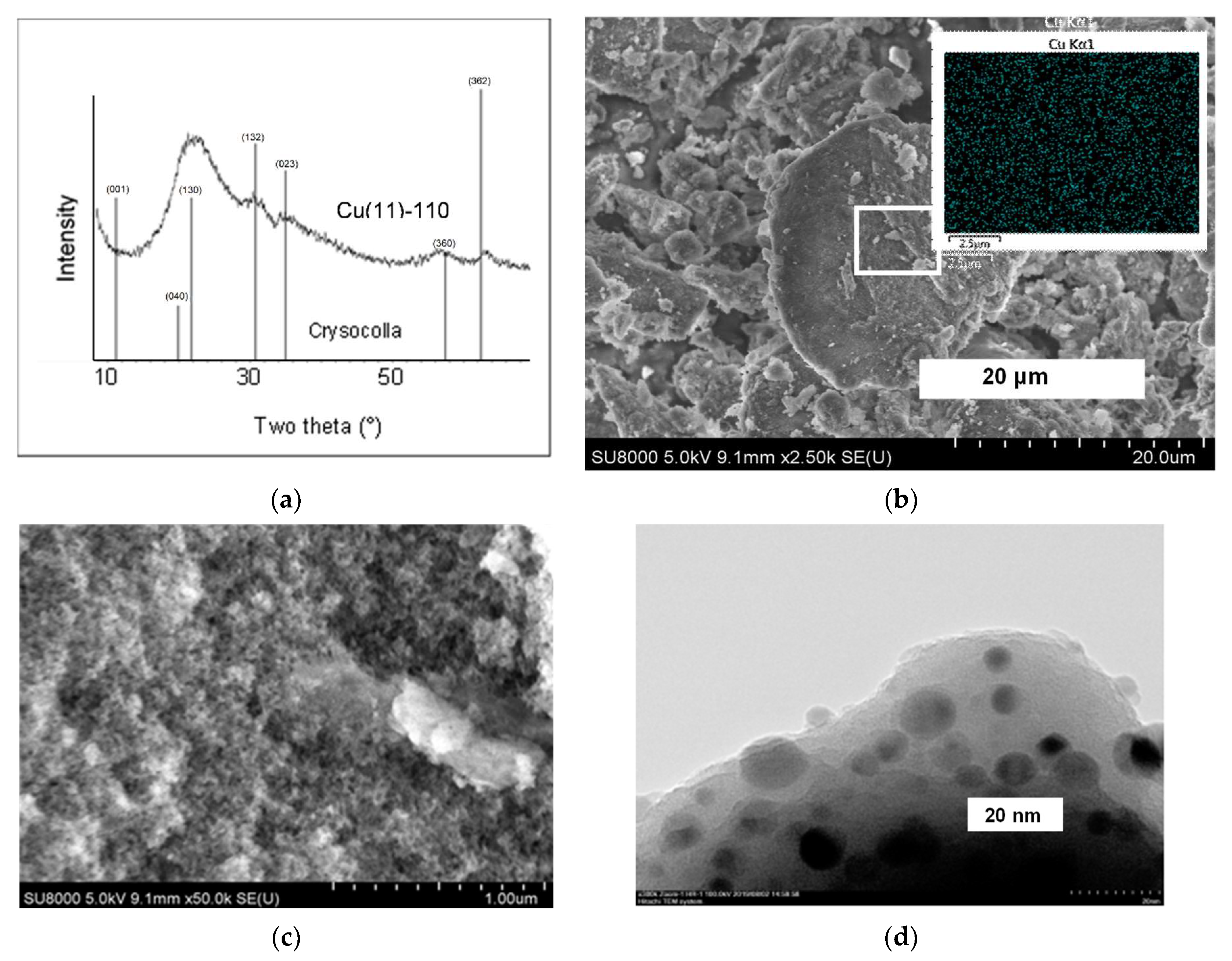 Molecules 27 05147 g003