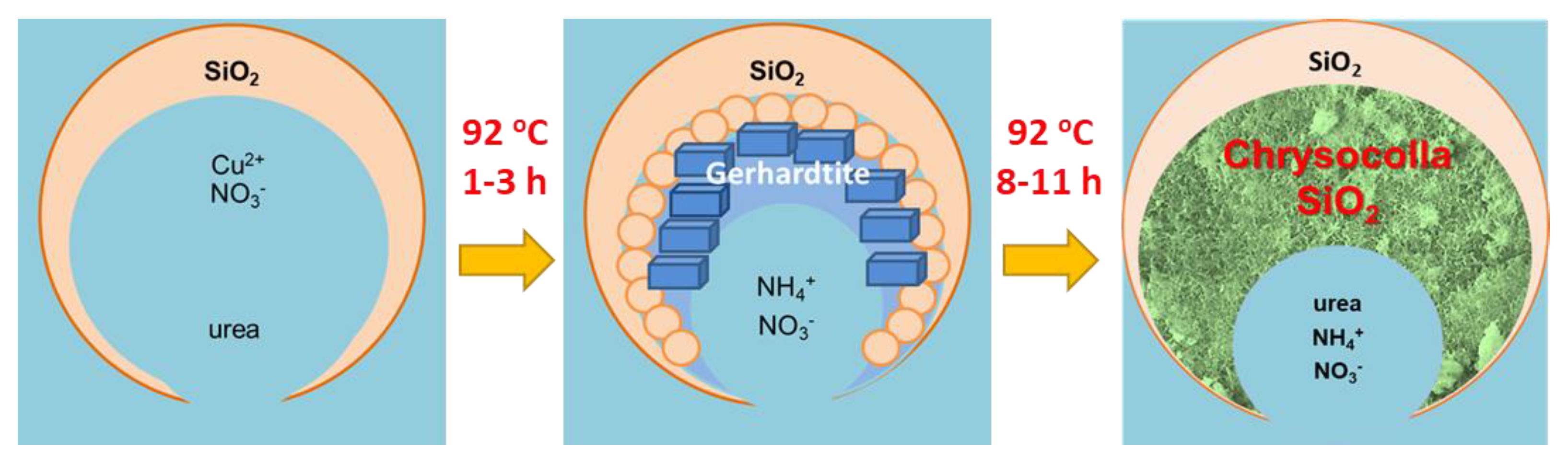 Molecules 27 05147 g010