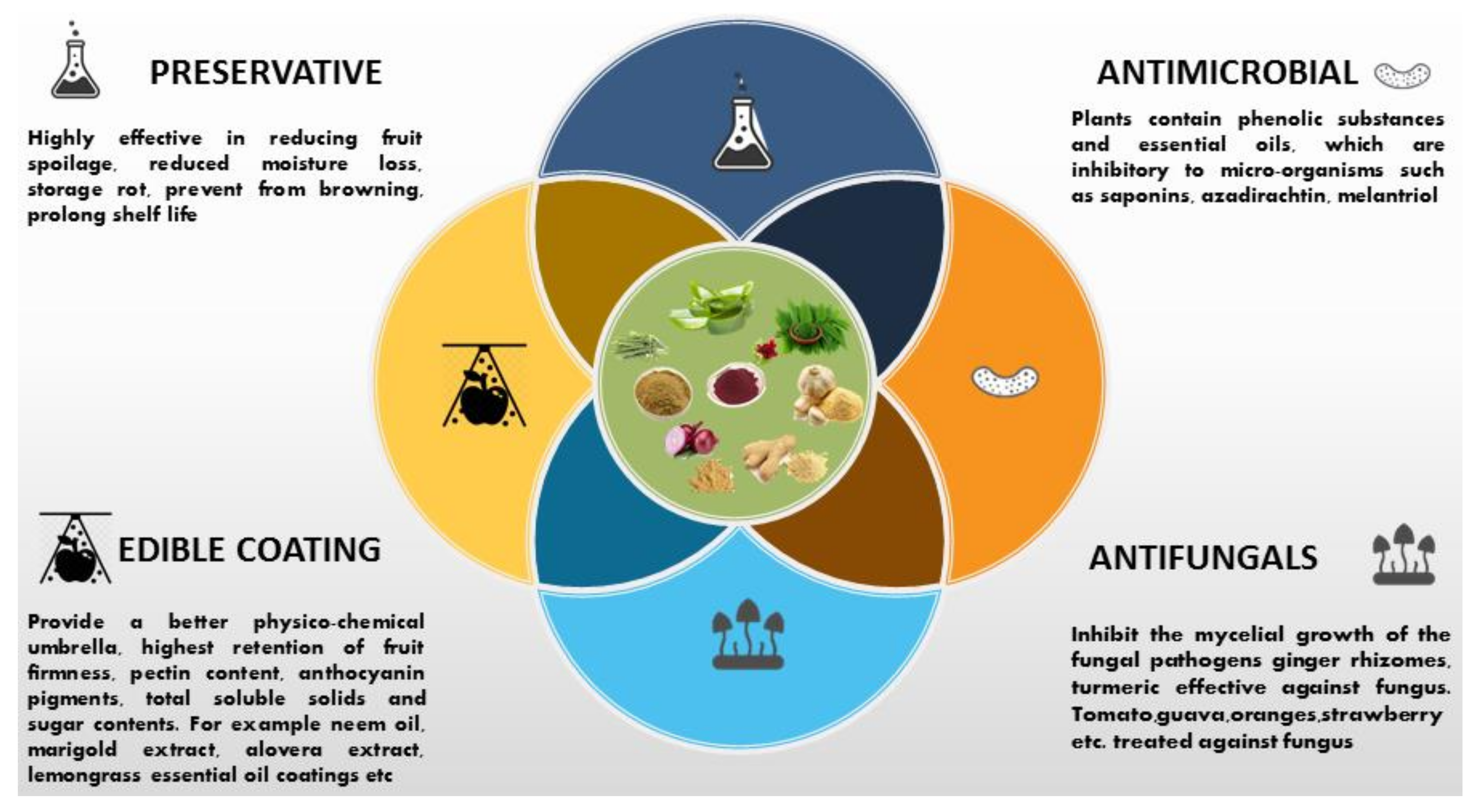 Molecules 27 05152 g002 Molecules 27 05152 g002
