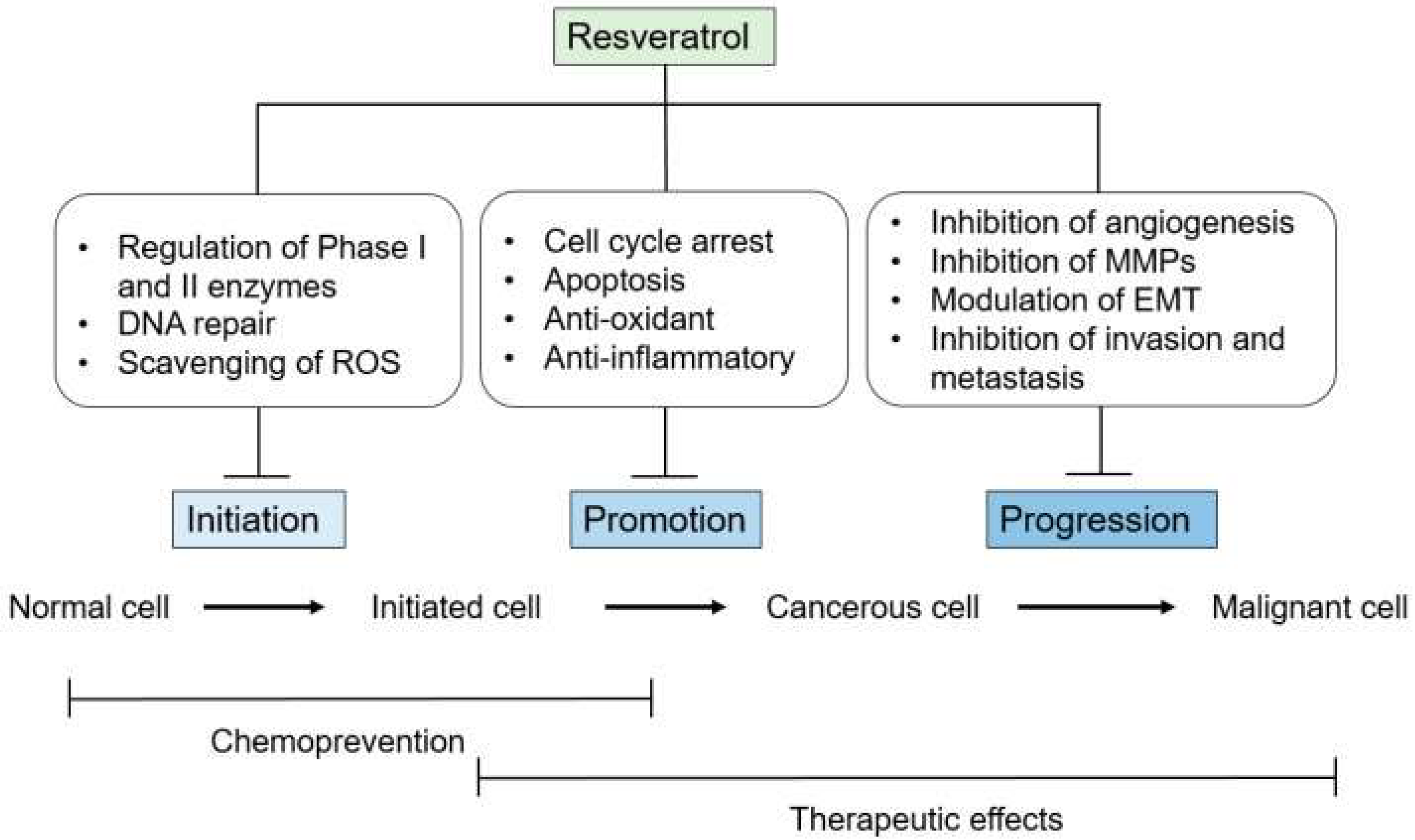 Molecules 27 05154 g004 550