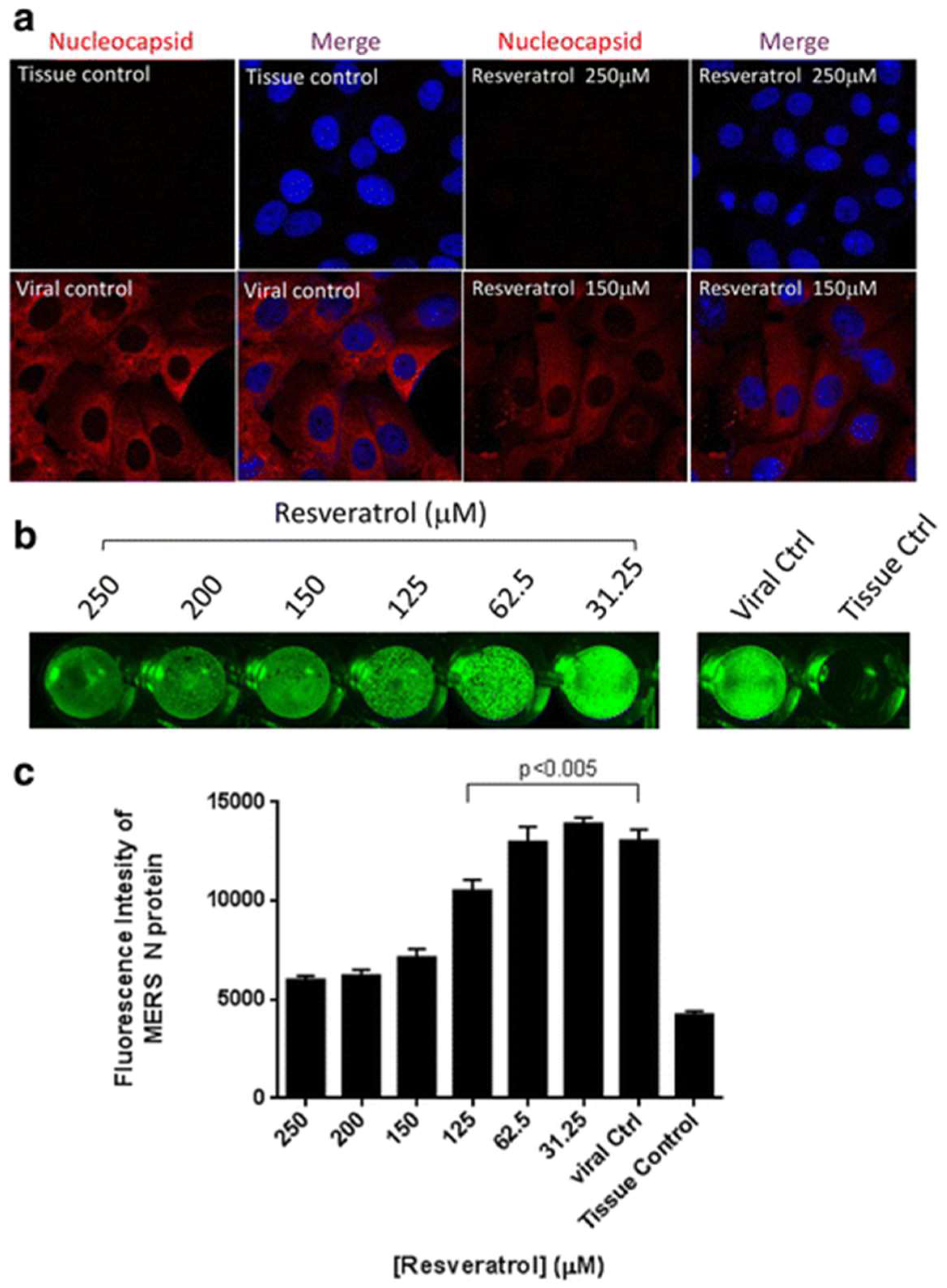 Molecules 27 05154 g007 550