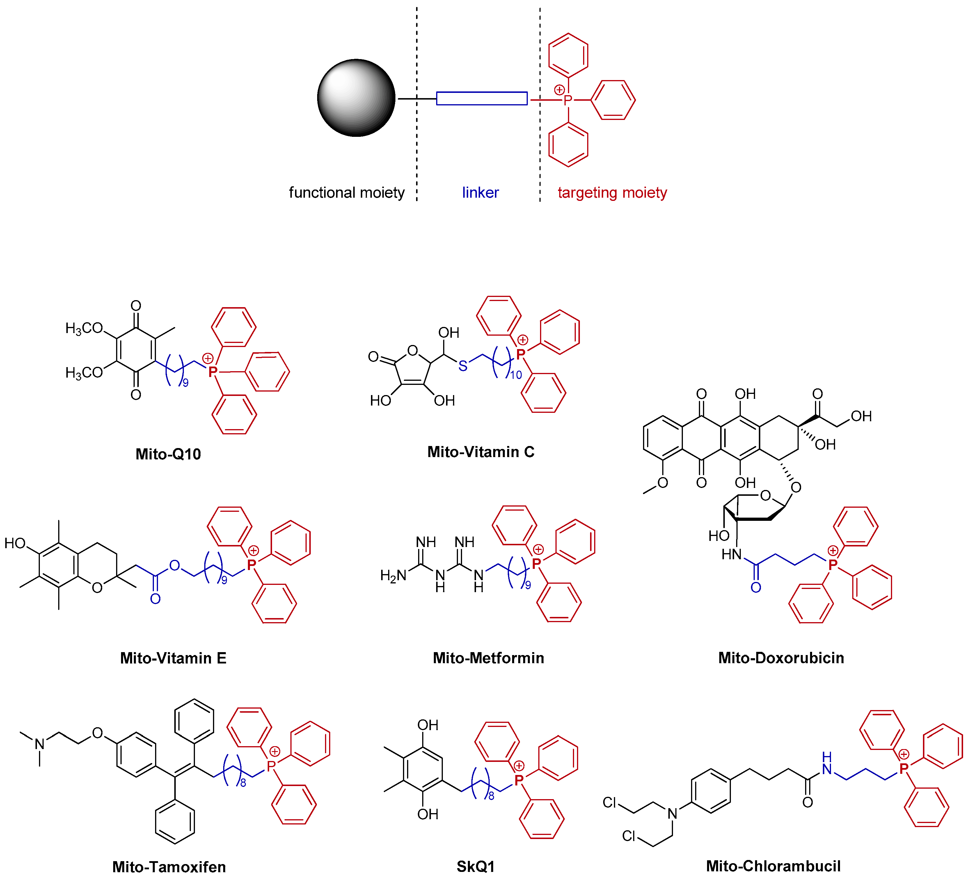 Molecules 27 05156 g002 550