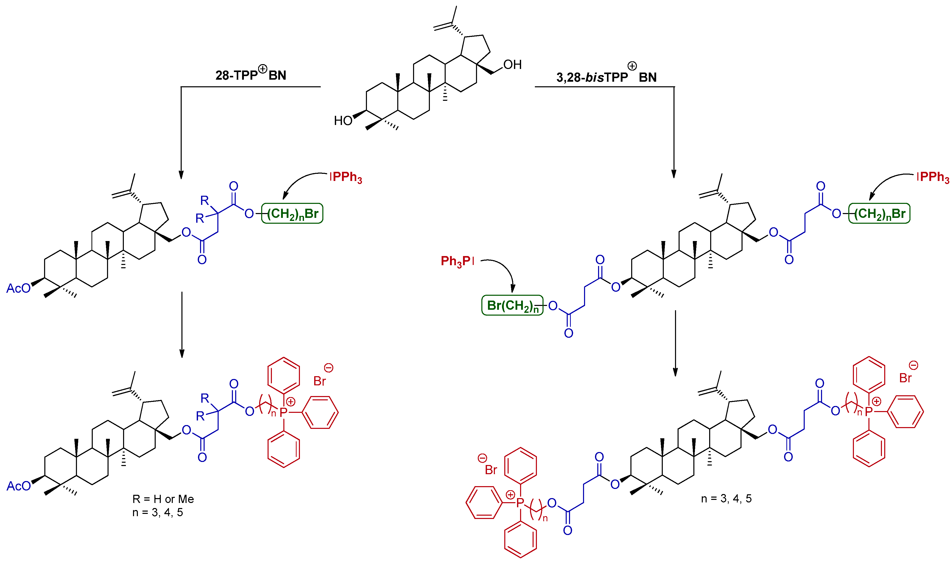 Molecules 27 05156 sch001 550