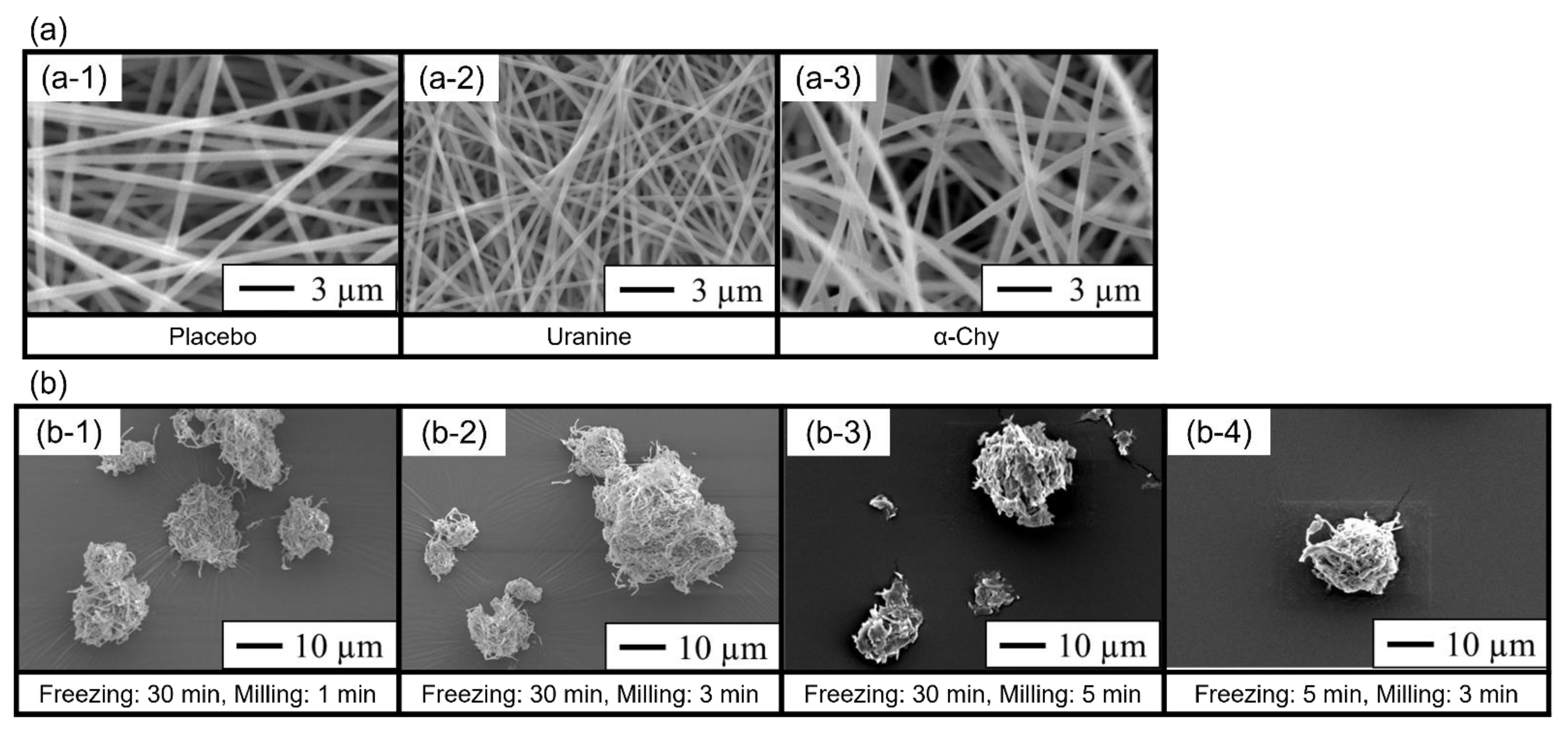 Molecules 27 05158 g001 550