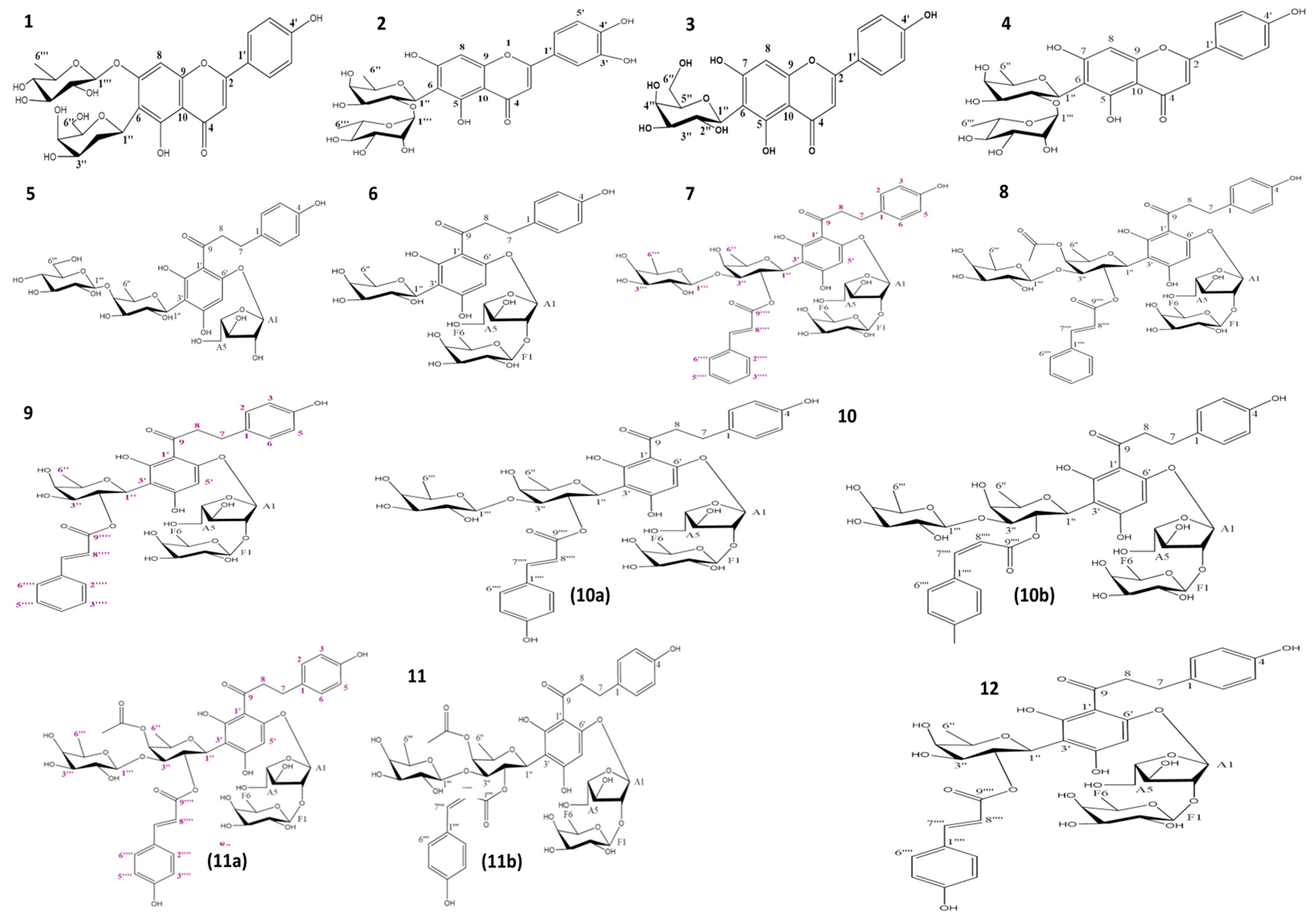 Molecules 27 05159 g002 Molecules 27 05159 g002